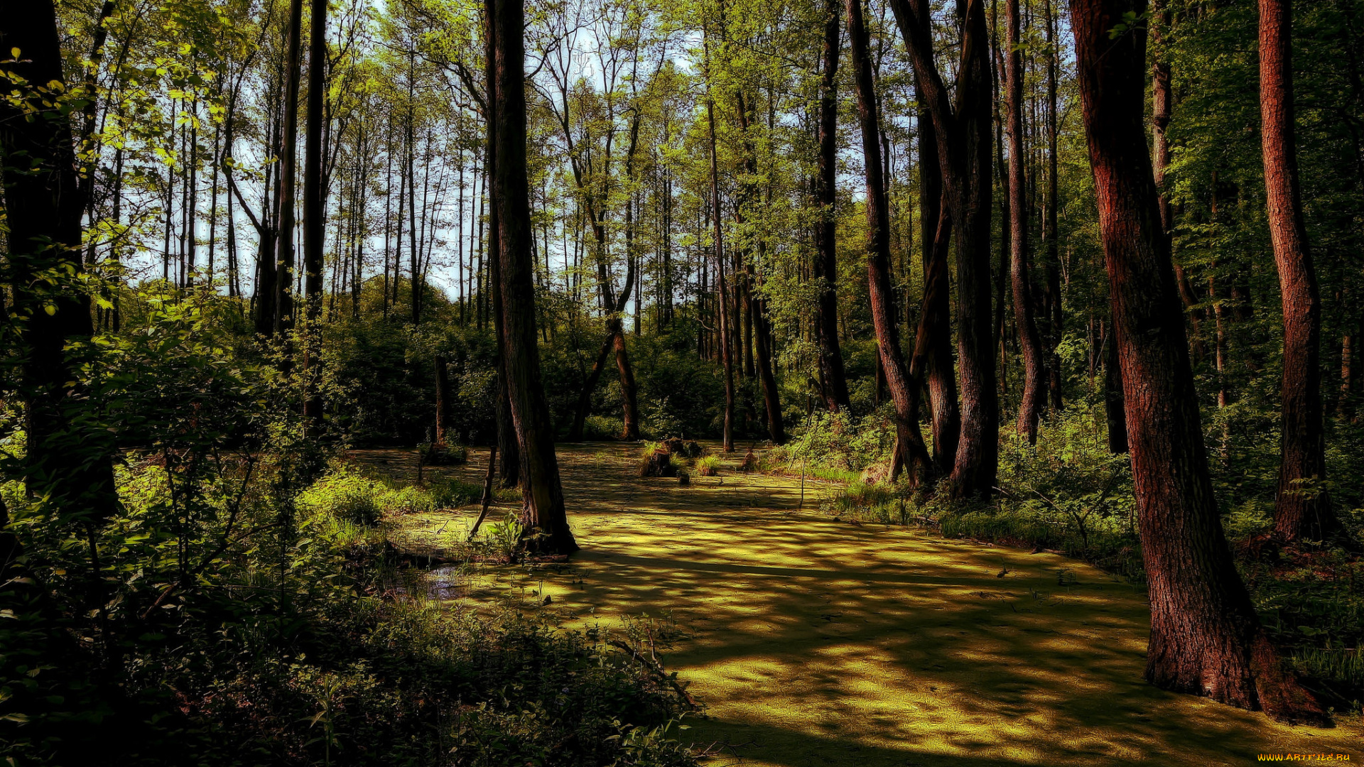 природа, дороги, тракт