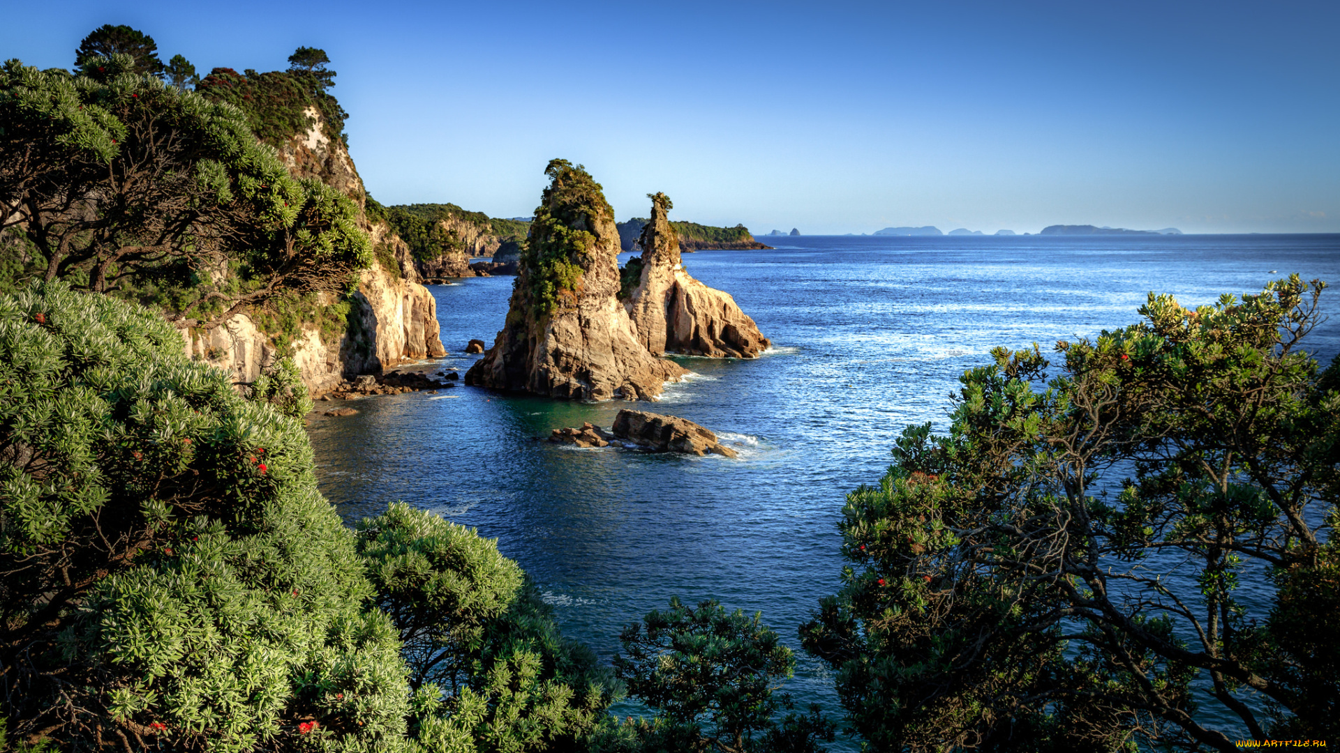 природа, побережье, берег, море