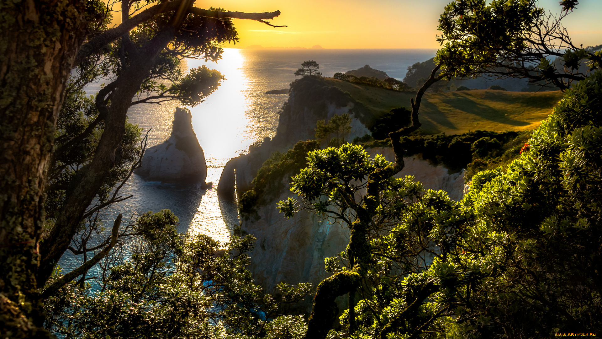 природа, побережье, берег, море