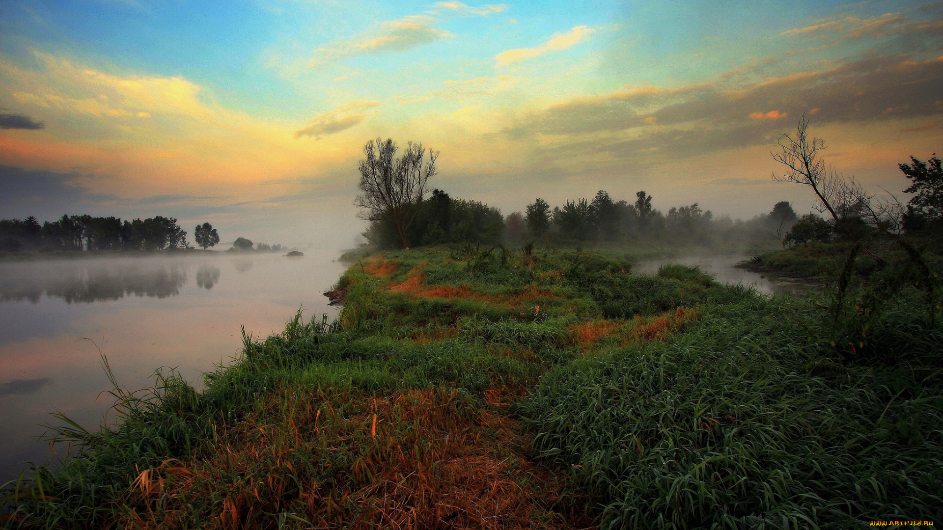 природа, реки, озера, река, лес