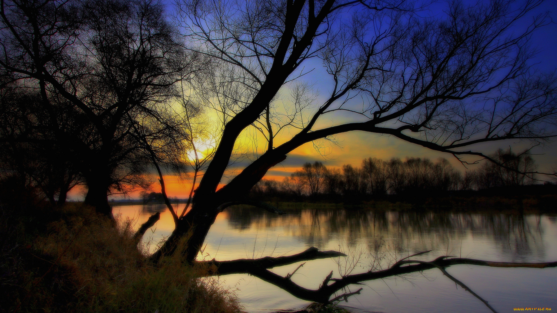 природа, реки, озера, река, лес