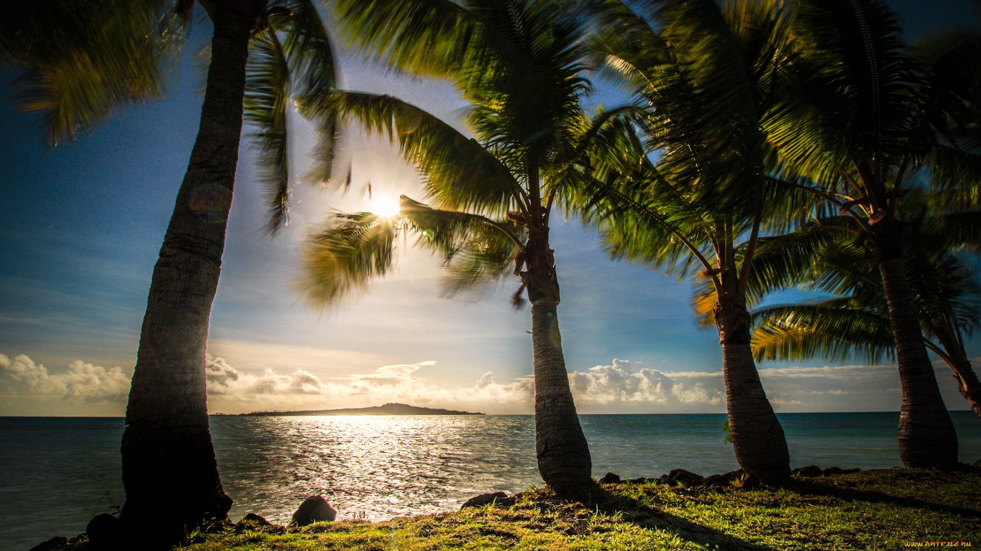природа, тропики, рассвет