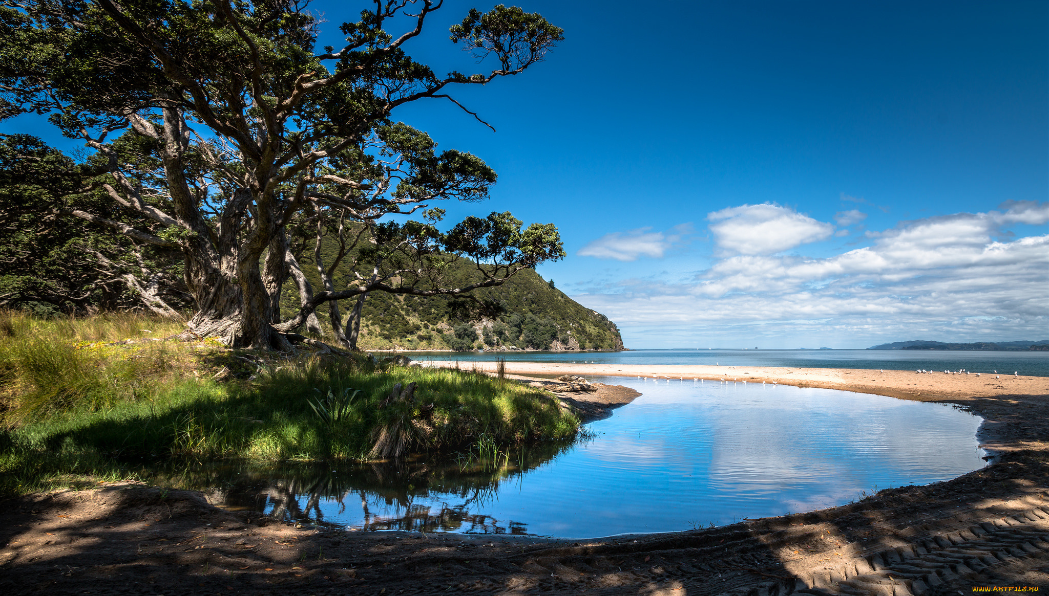 природа, побережье, берег, море