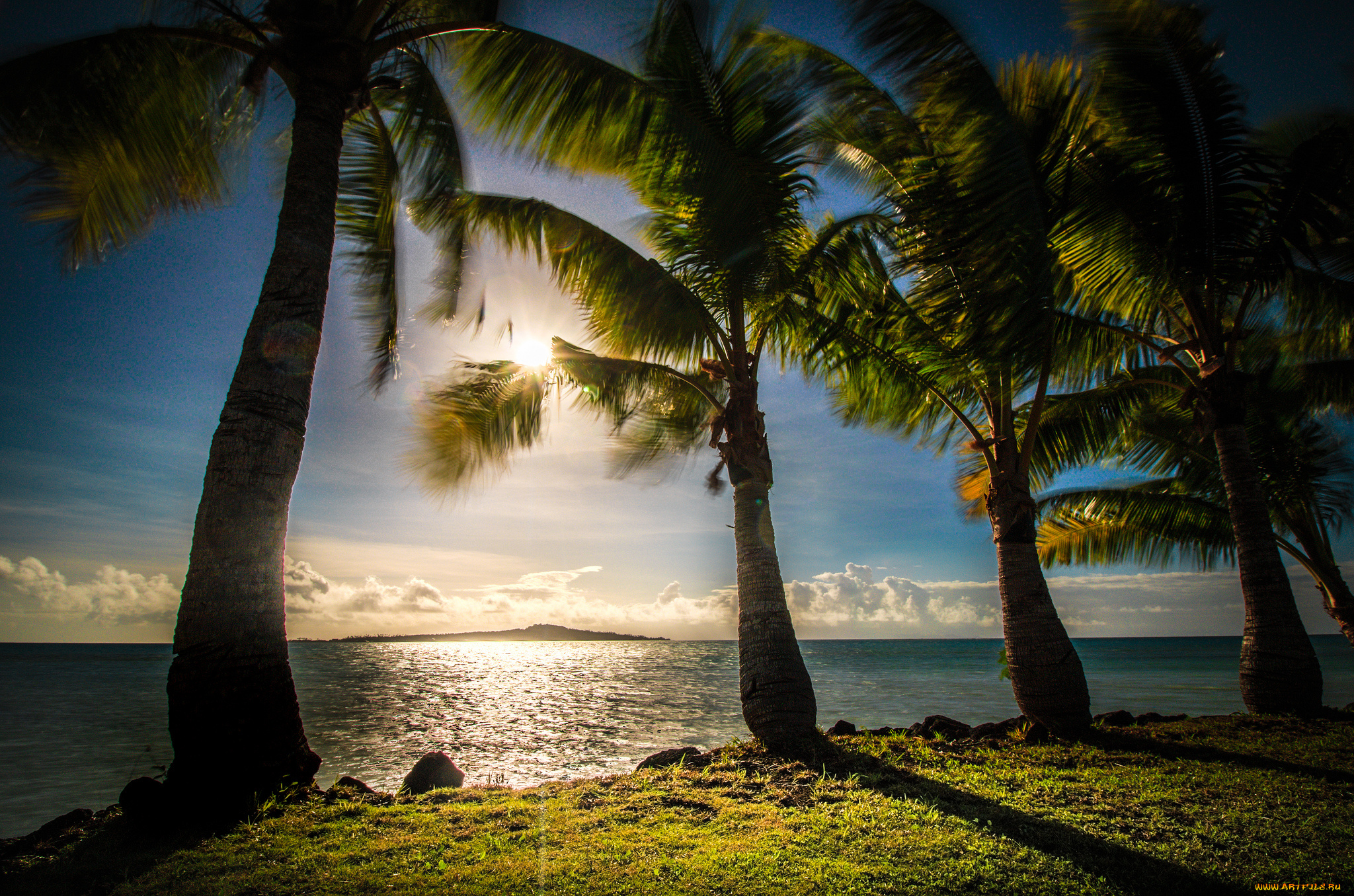 природа, тропики, рассвет