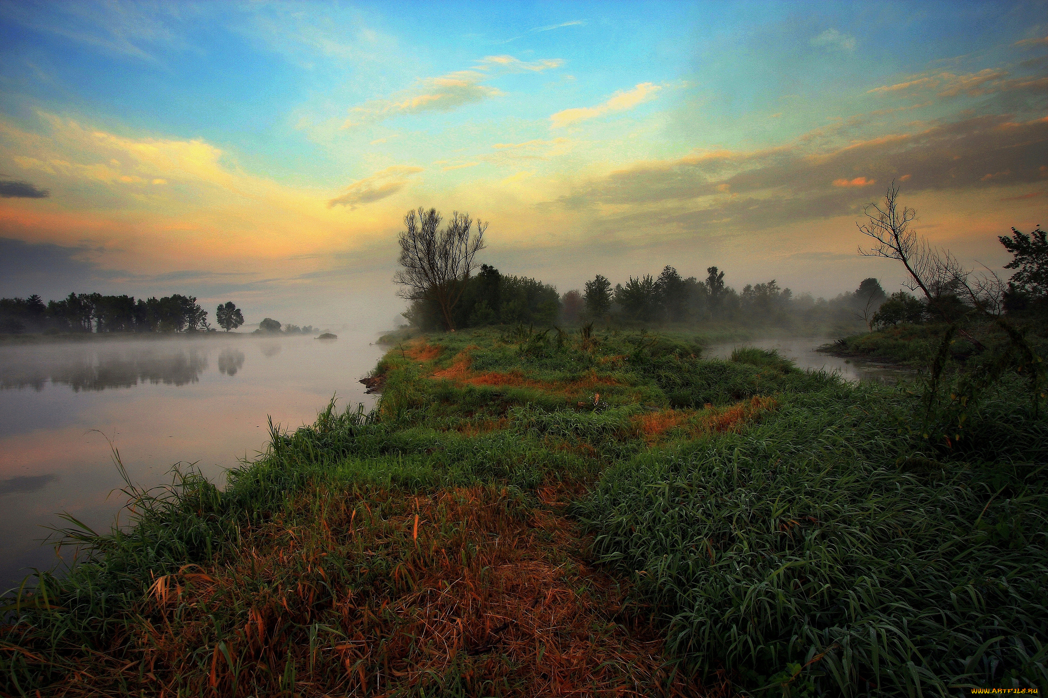 природа, реки, озера, река, лес