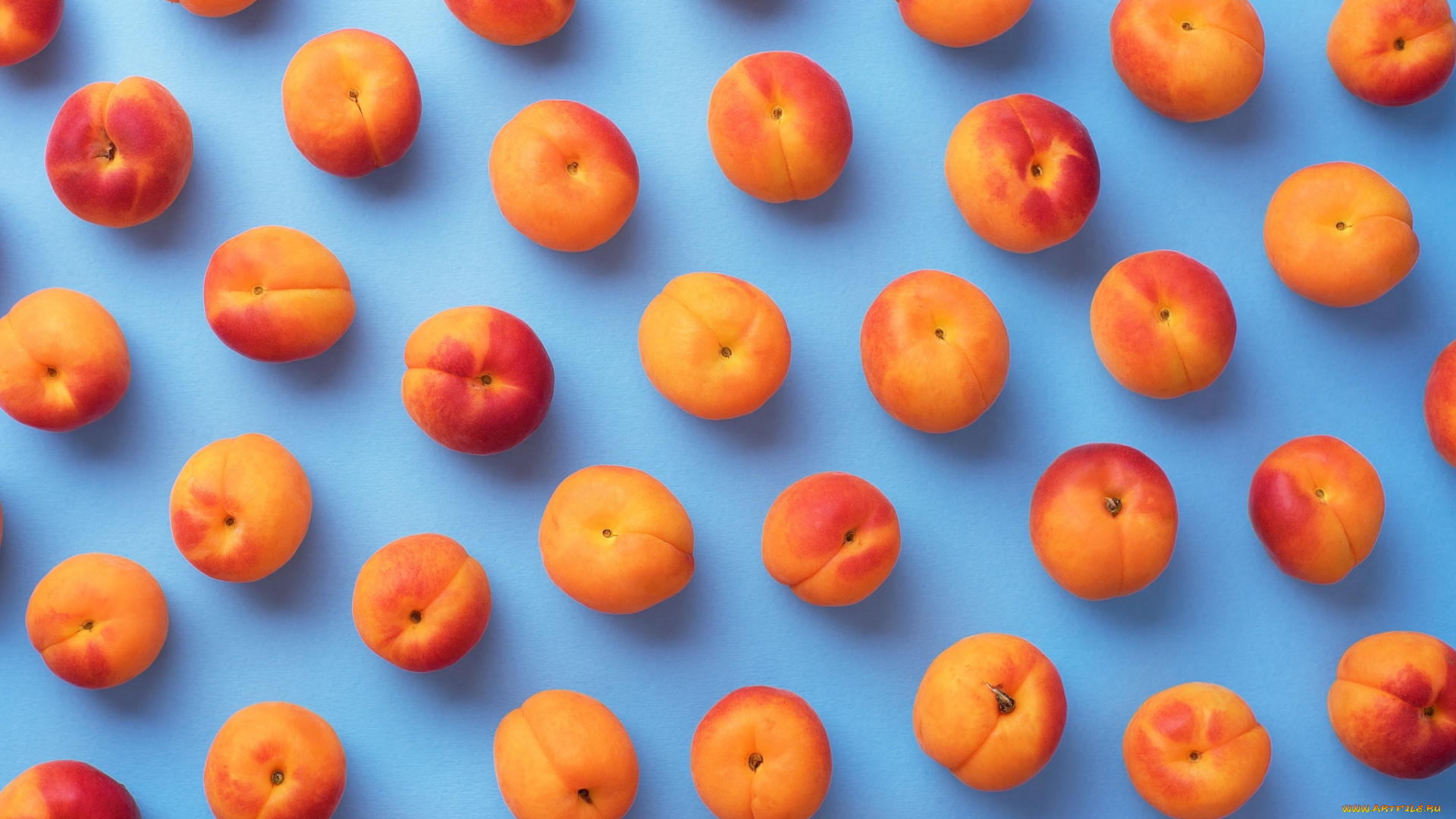 еда, персики, , сливы, , абрикосы, абрикос, фон, абрикосы, тени, нектарин