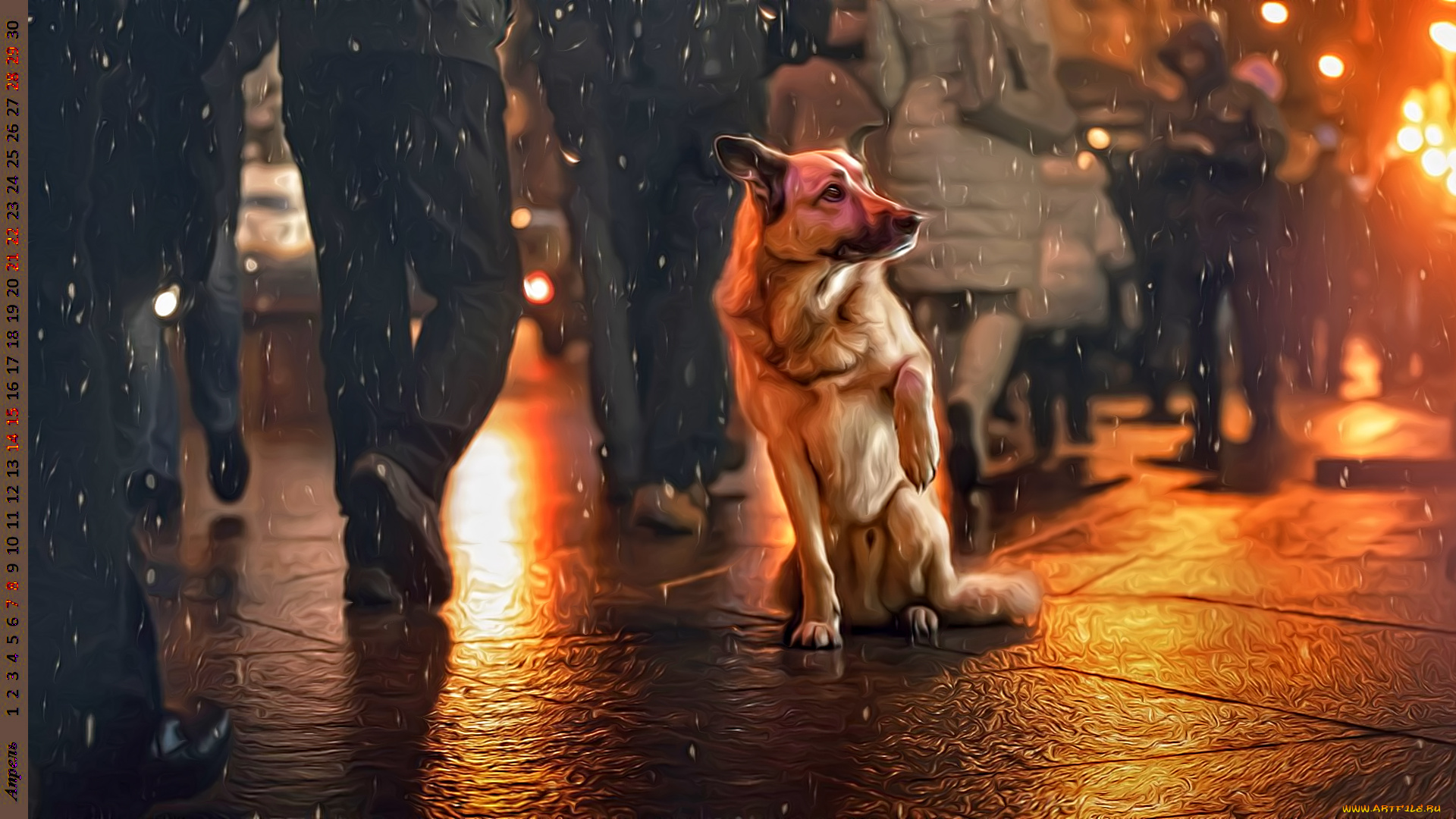 календари, компьютерный, дизайн, собака, взгляд