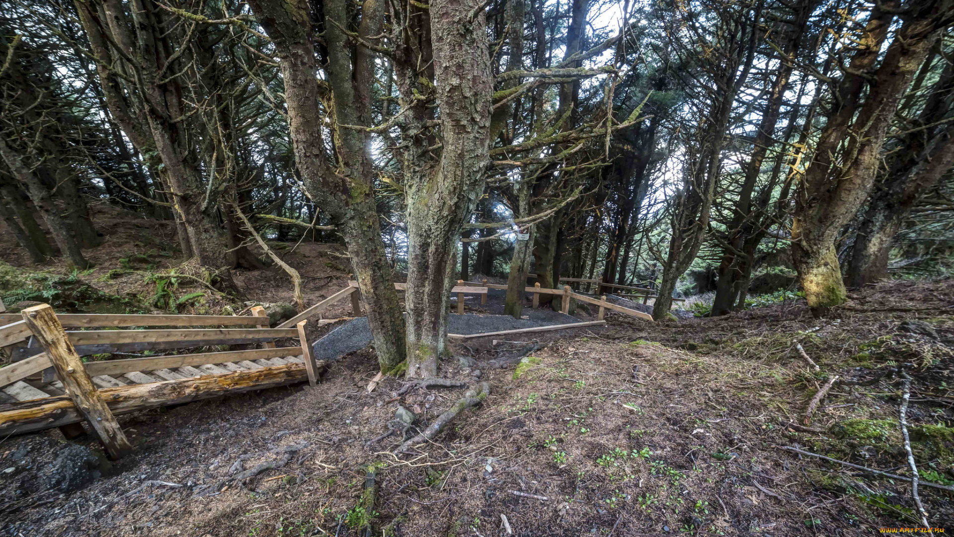 природа, дороги, простор