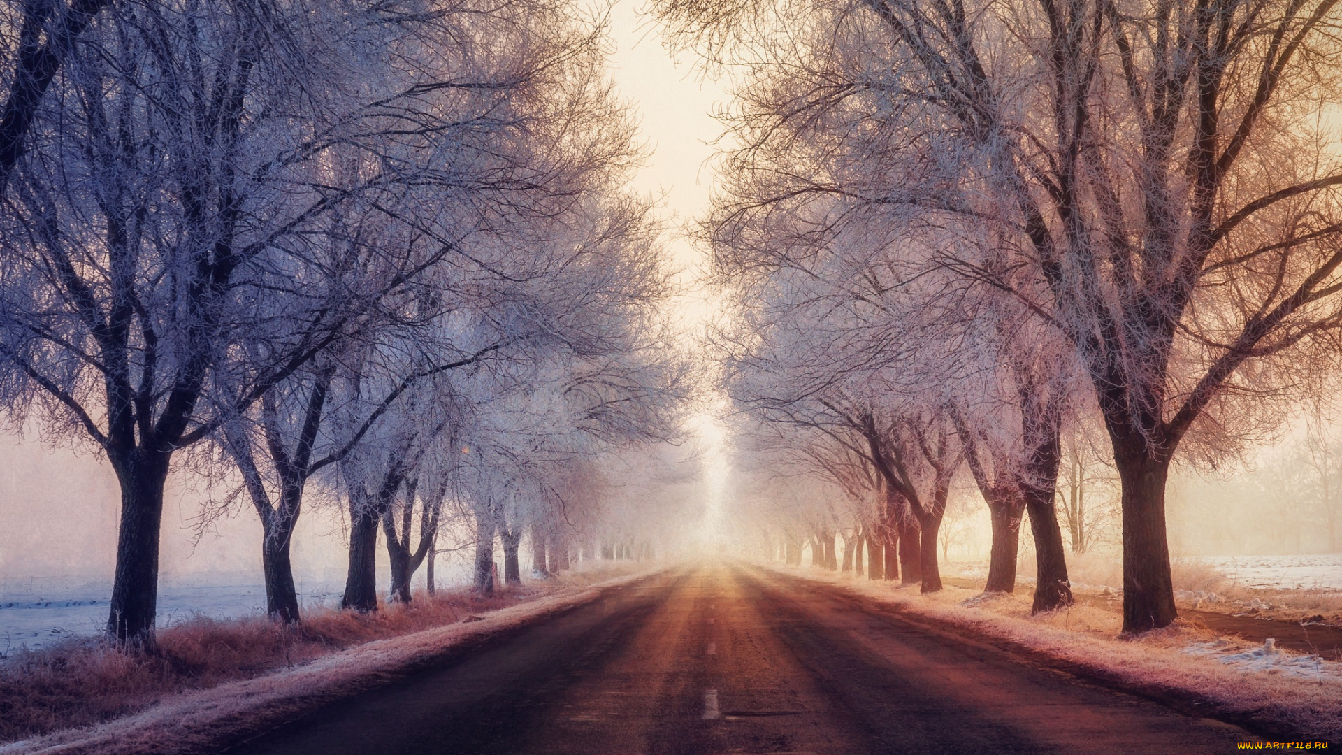 природа, дороги, зима, иней, дорога, туман