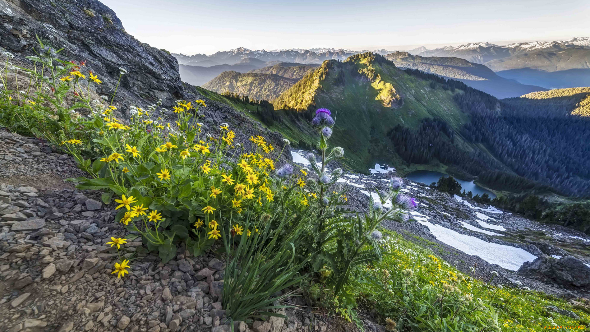 природа, горы, простор