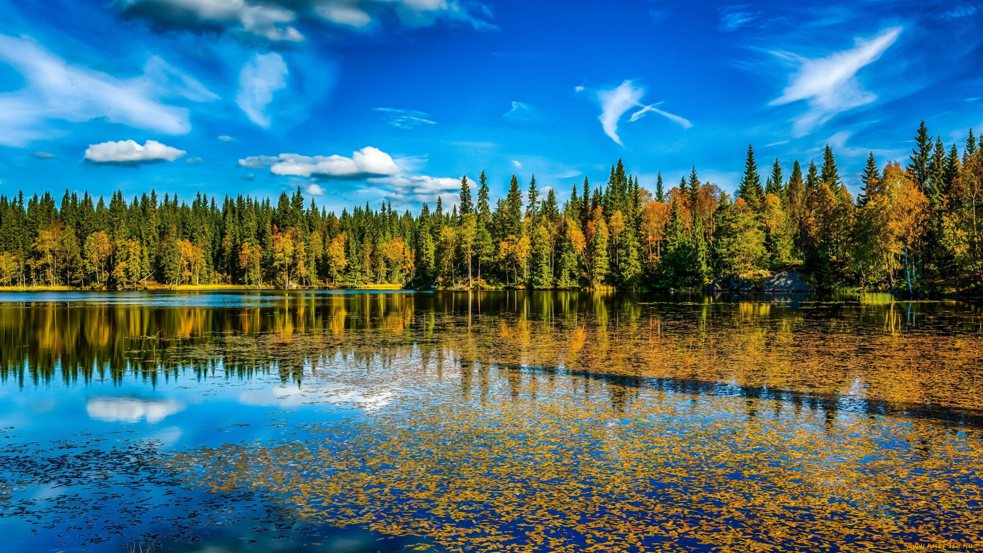 природа, реки, озера, облака, листья, осень, деревья, озеро, небо
