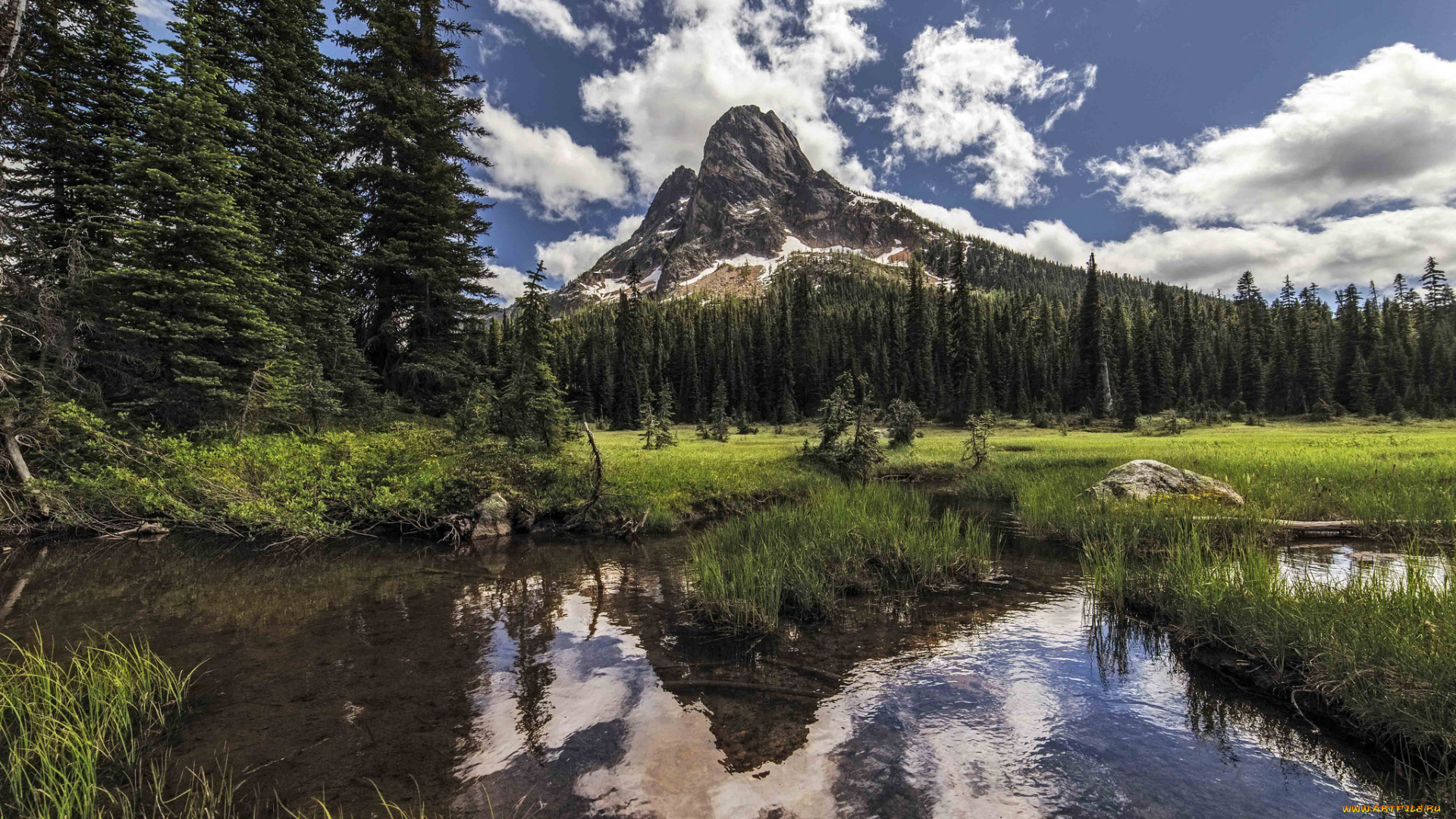 природа, реки, озера, простор