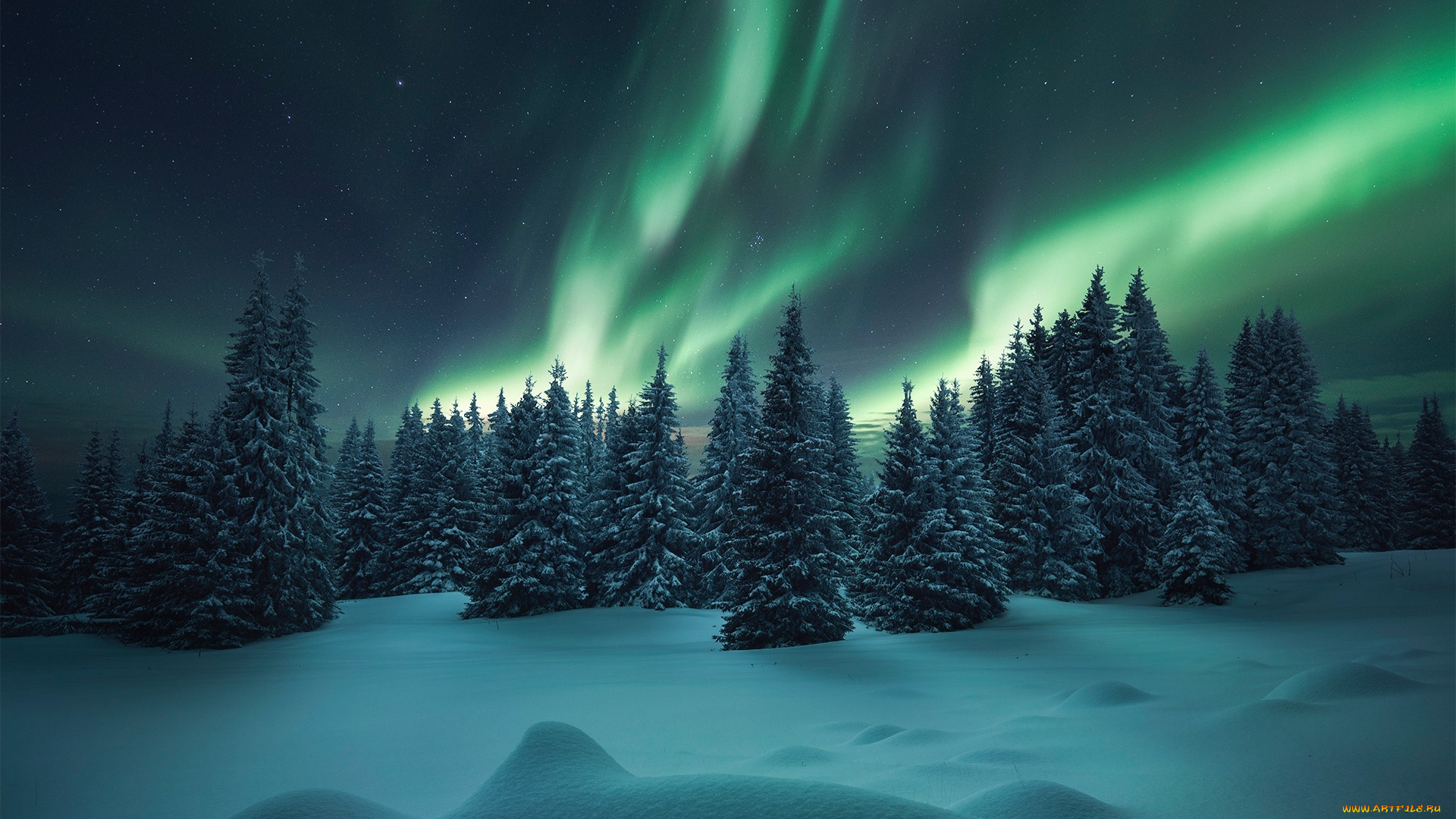 природа, северное, сияние, сугробы, ели, зима, снег, лес, северное, сияние