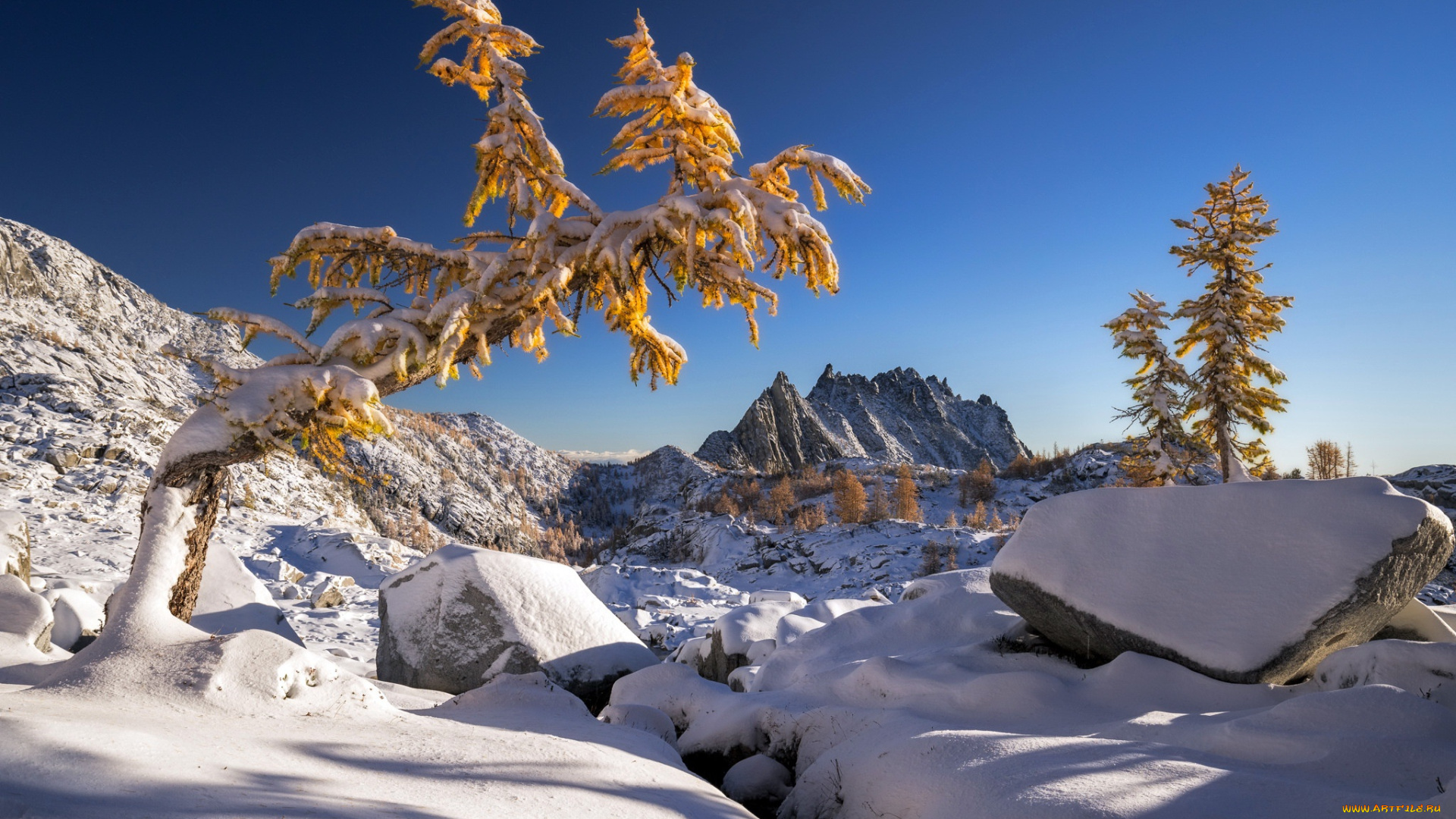 природа, зима, небо, снег