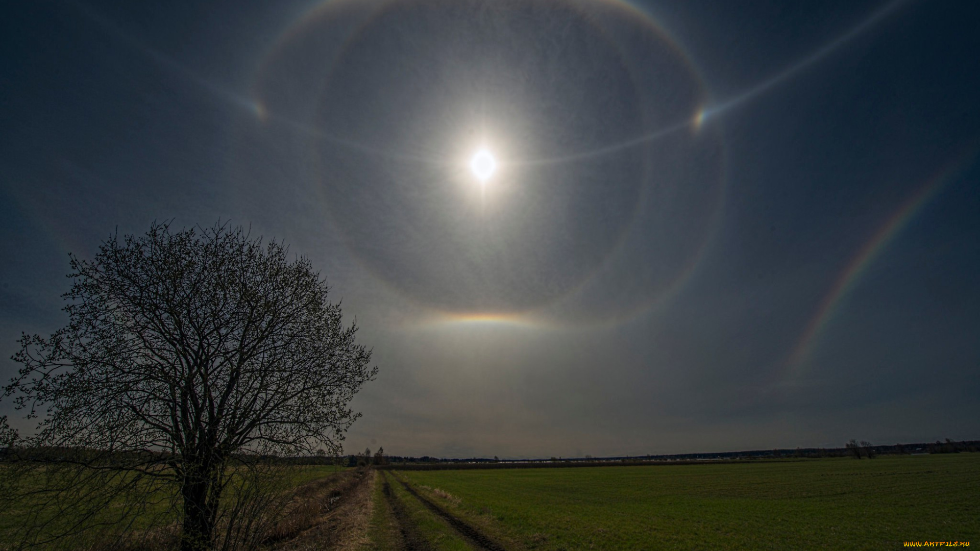 солнечное, гало, природа, пейзажи, радуга, облака, небо, гало, солнце, пейзаж