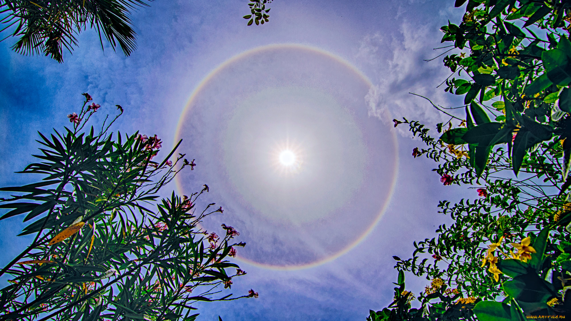 солнечное, гало, природа, пейзажи, солнце, гало, небо, облака, радуга, пейзаж