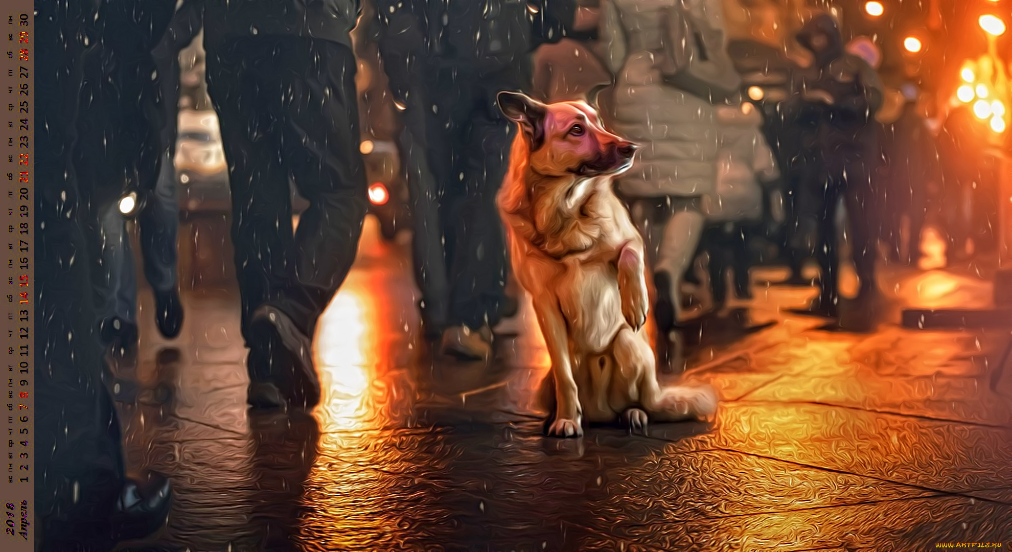 календари, компьютерный, дизайн, собака, взгляд