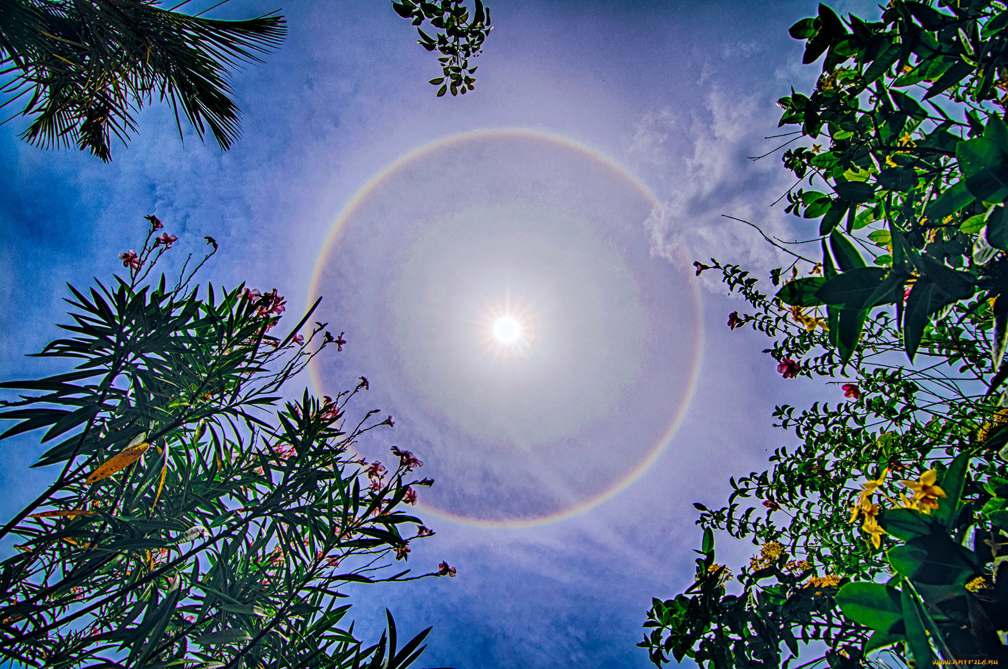 солнечное, гало, природа, пейзажи, солнце, гало, небо, облака, радуга, пейзаж