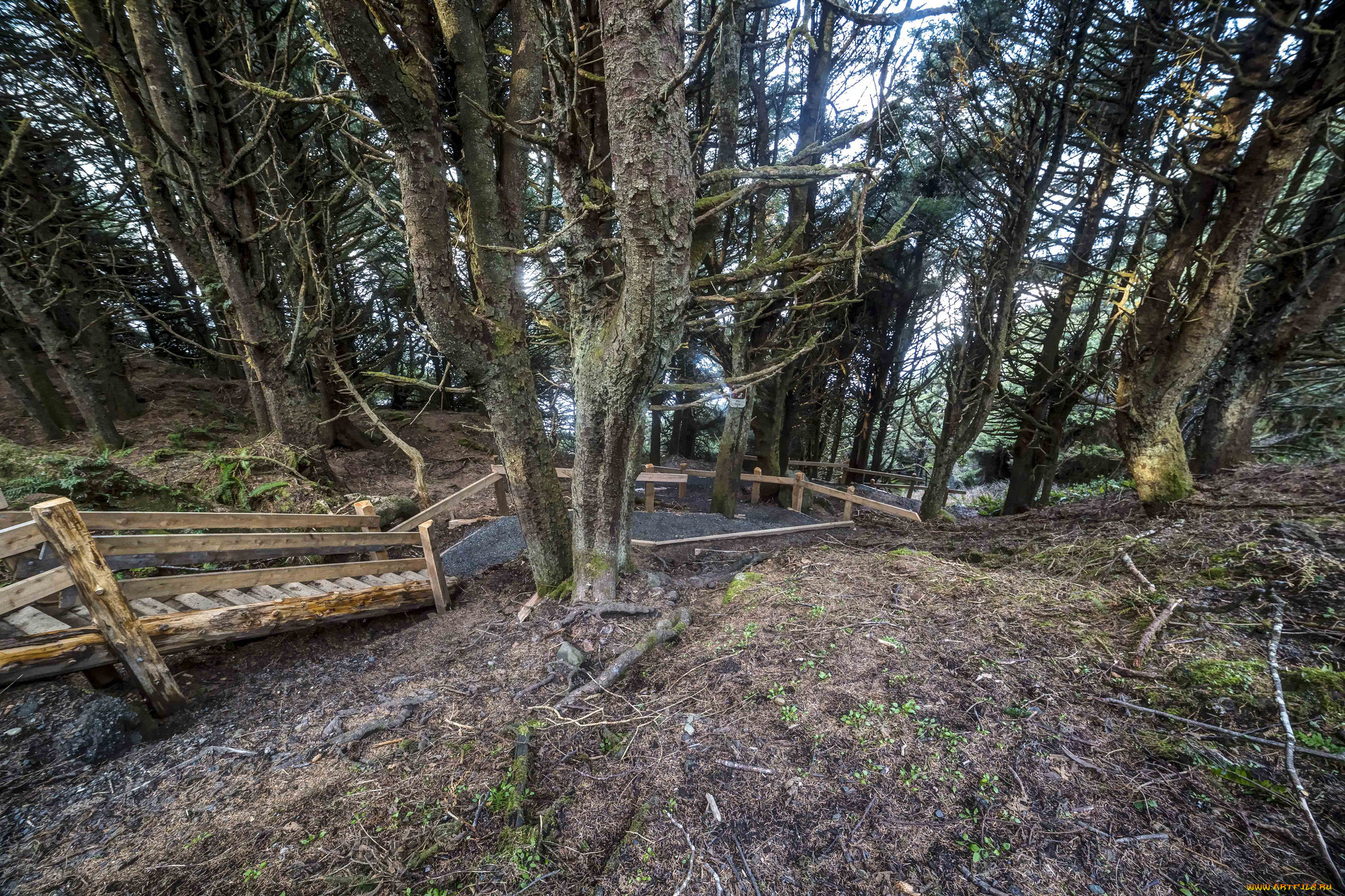 природа, дороги, простор