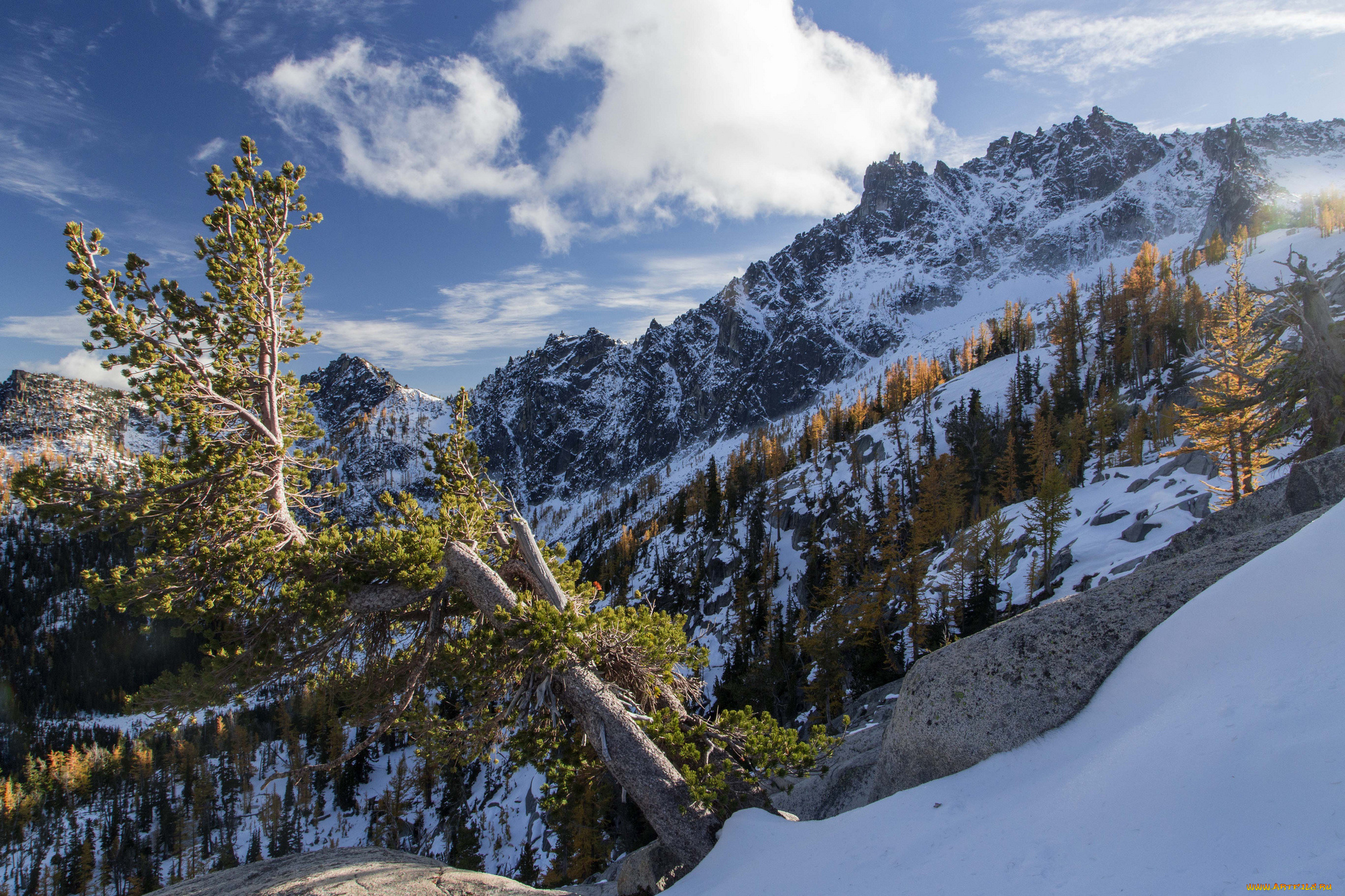 природа, горы, простор