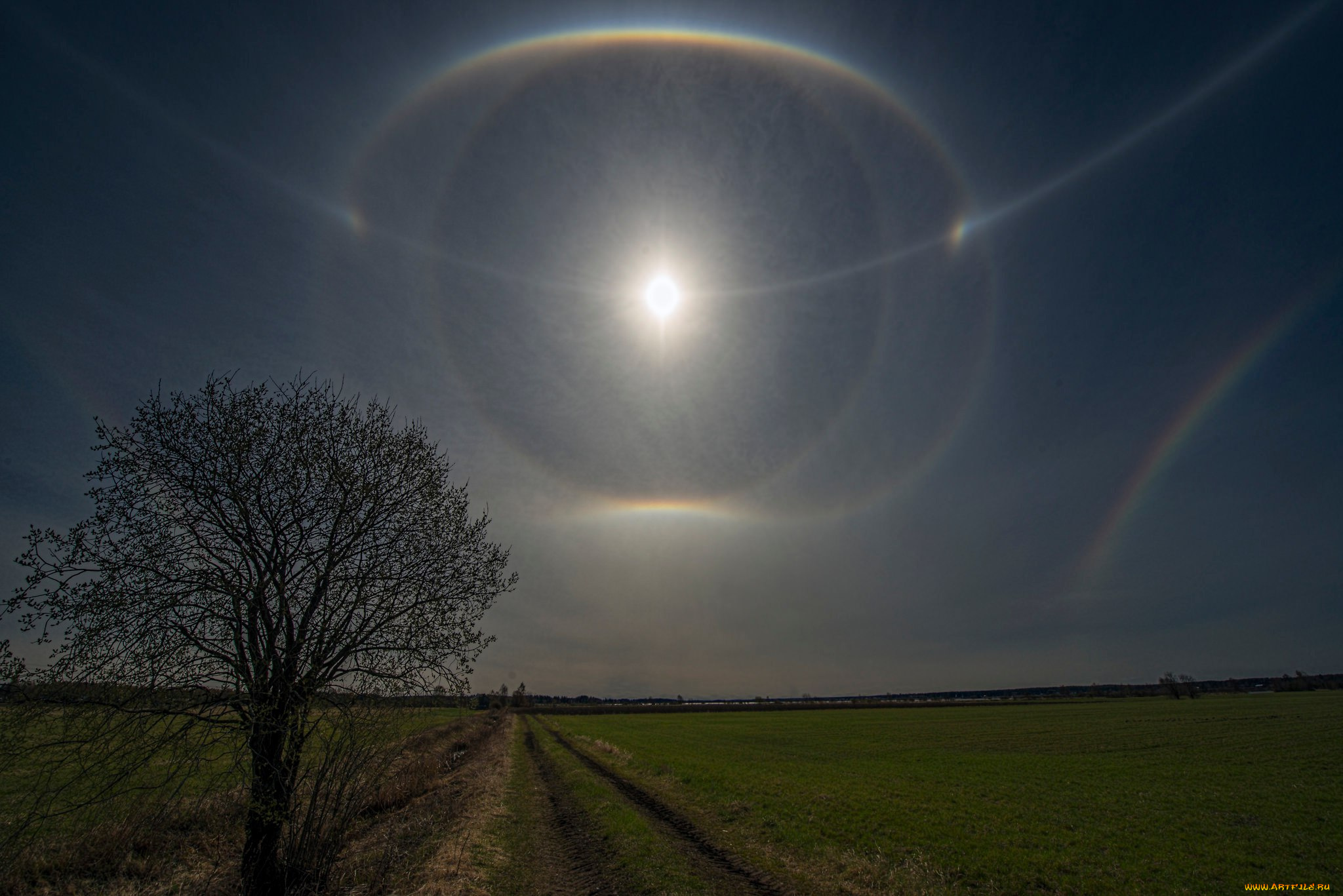 солнечное, гало, природа, пейзажи, радуга, облака, небо, гало, солнце, пейзаж