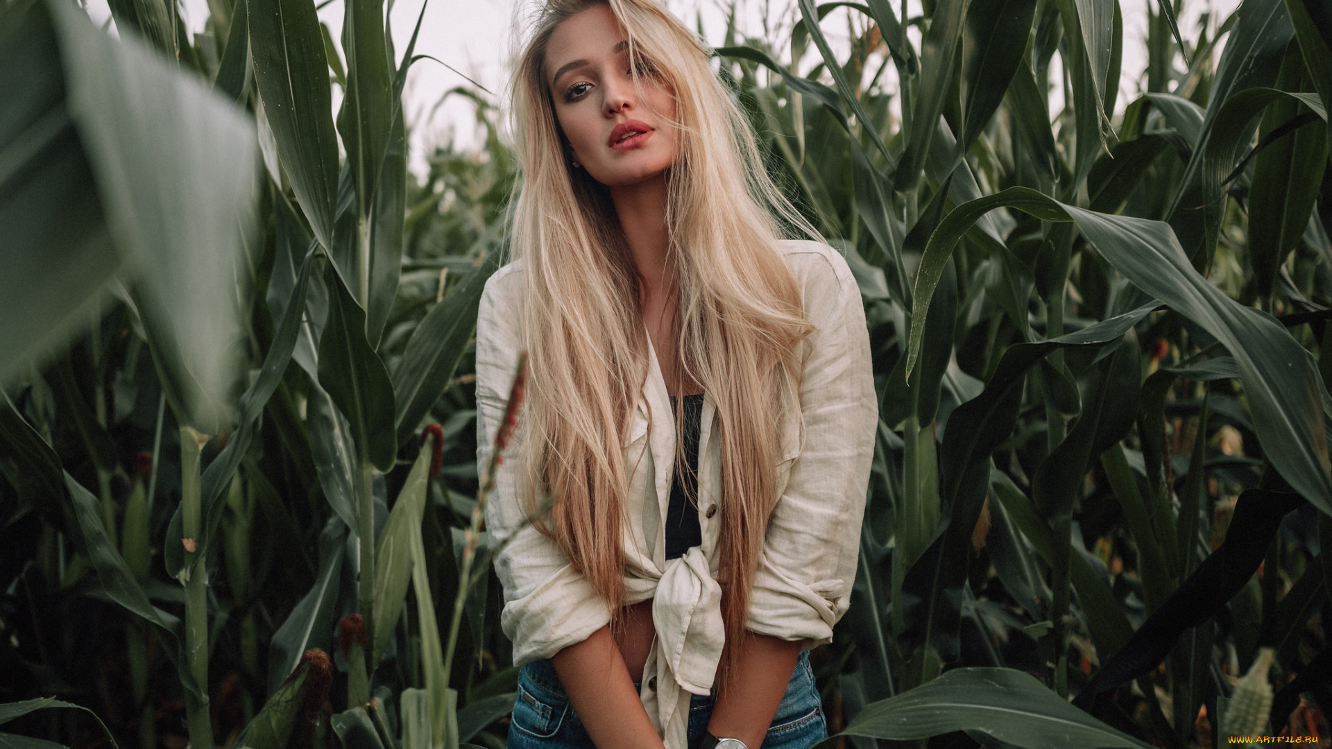 девушка, девушки, -unsort, , блондинки, , светловолосые, модель