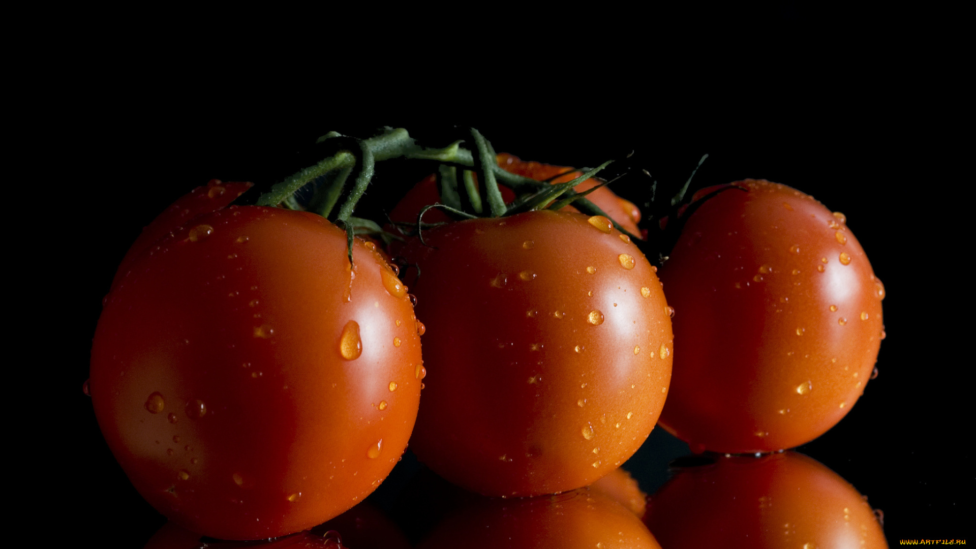 еда, помидоры, снедь