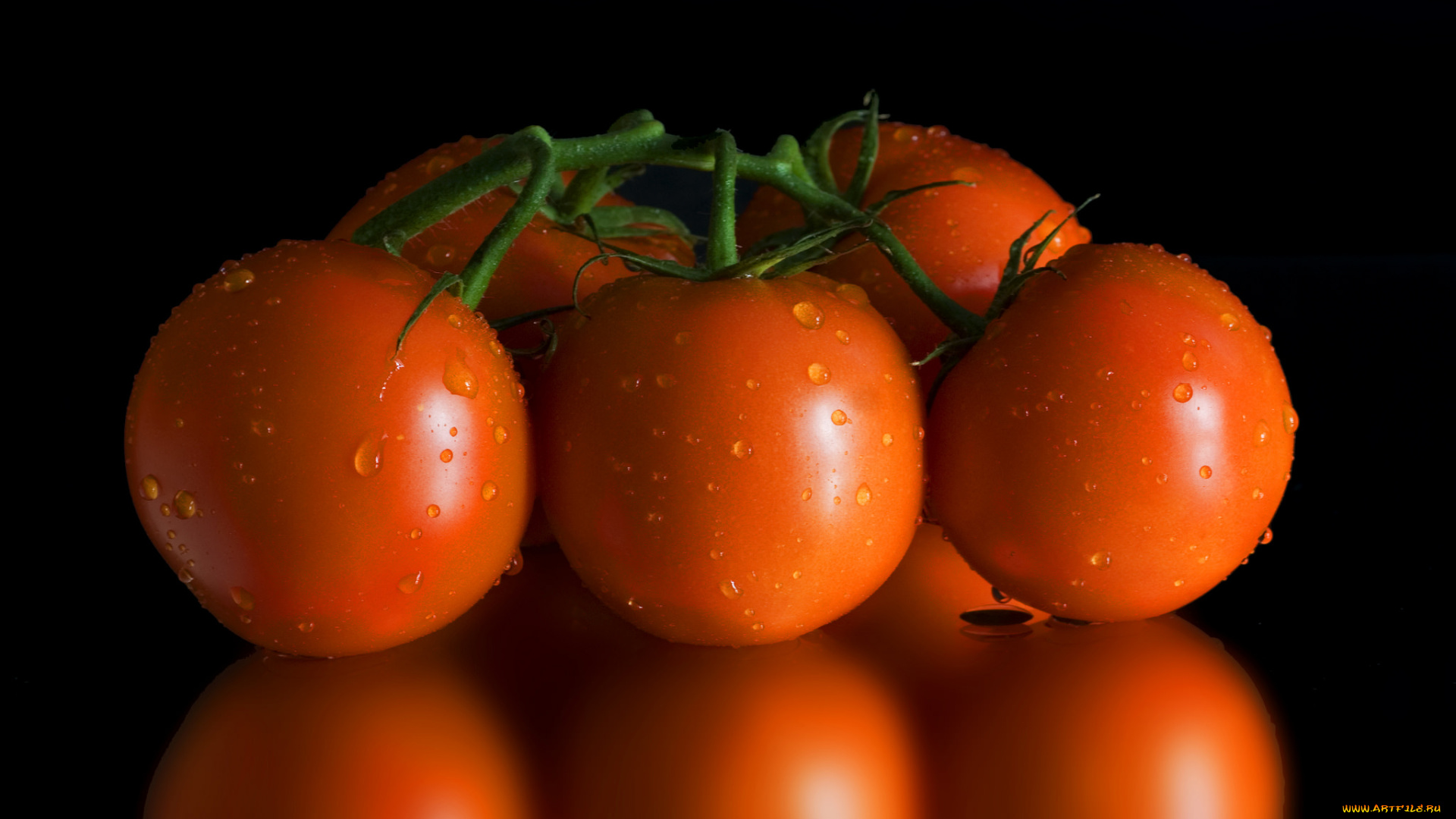 еда, помидоры, снедь