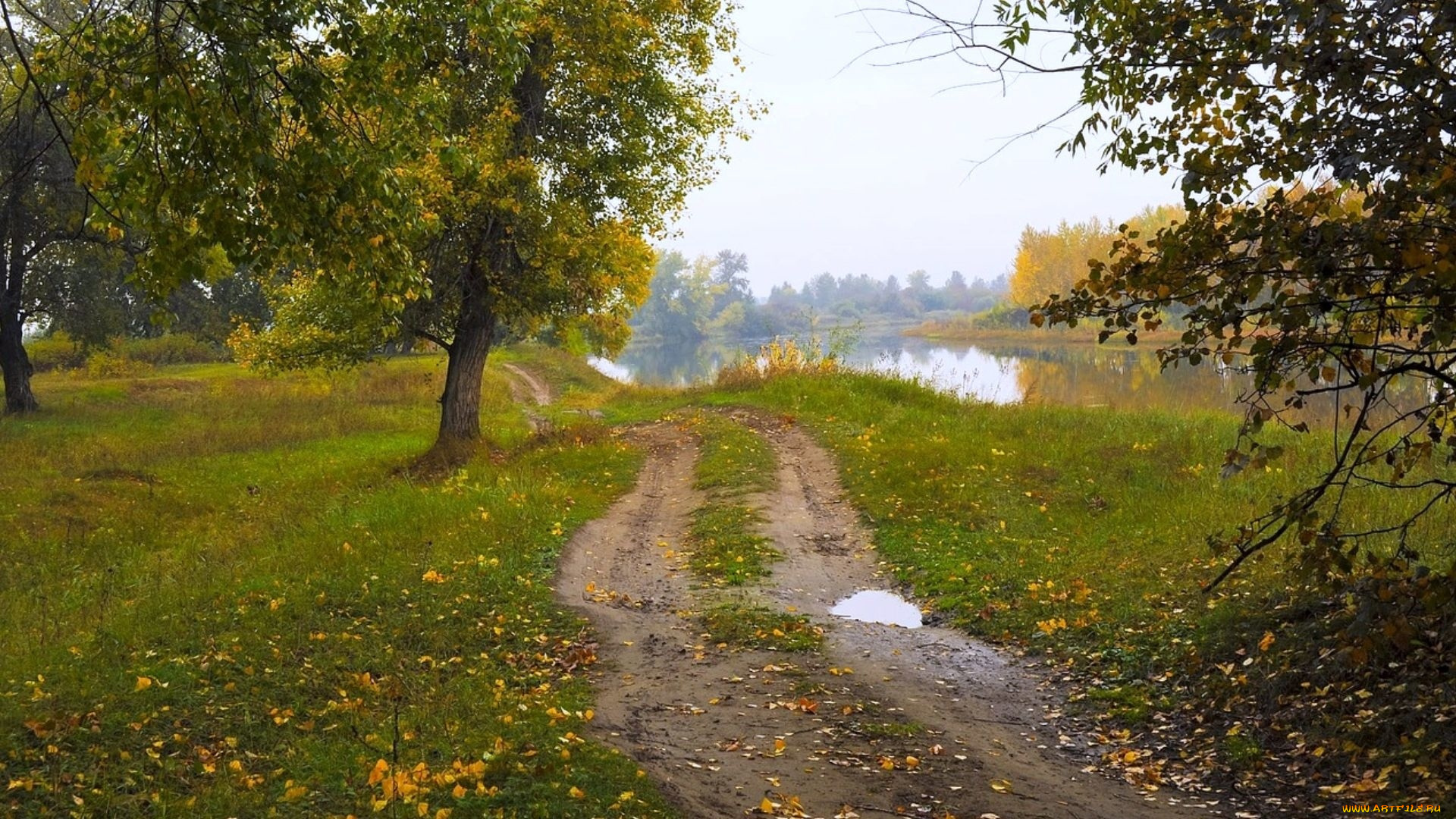 природа, дороги, лужа, дорога