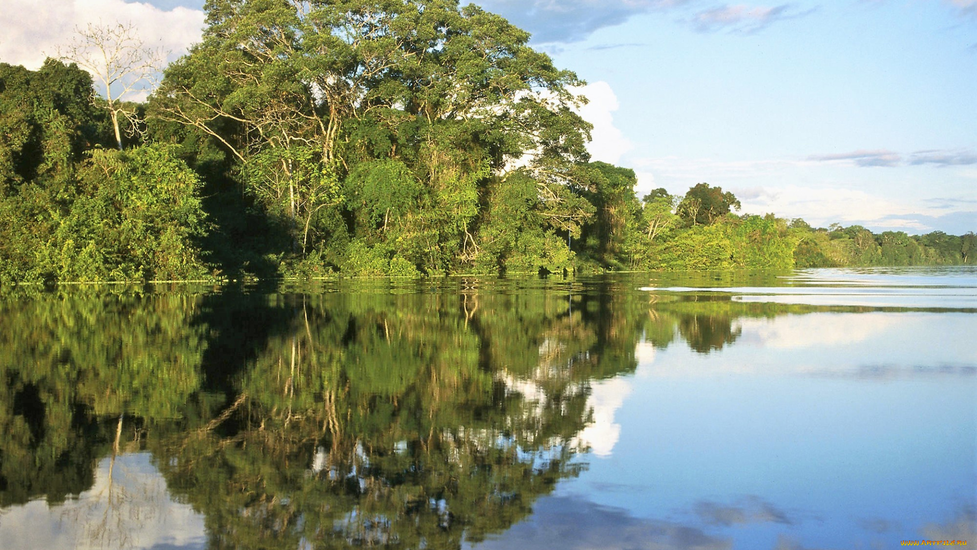 природа, реки, озера, озеро, деревья