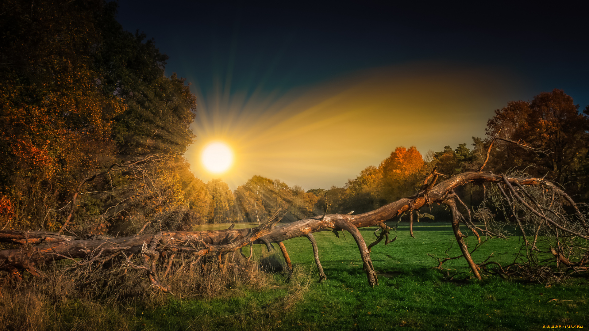 природа, восходы, закаты, простор