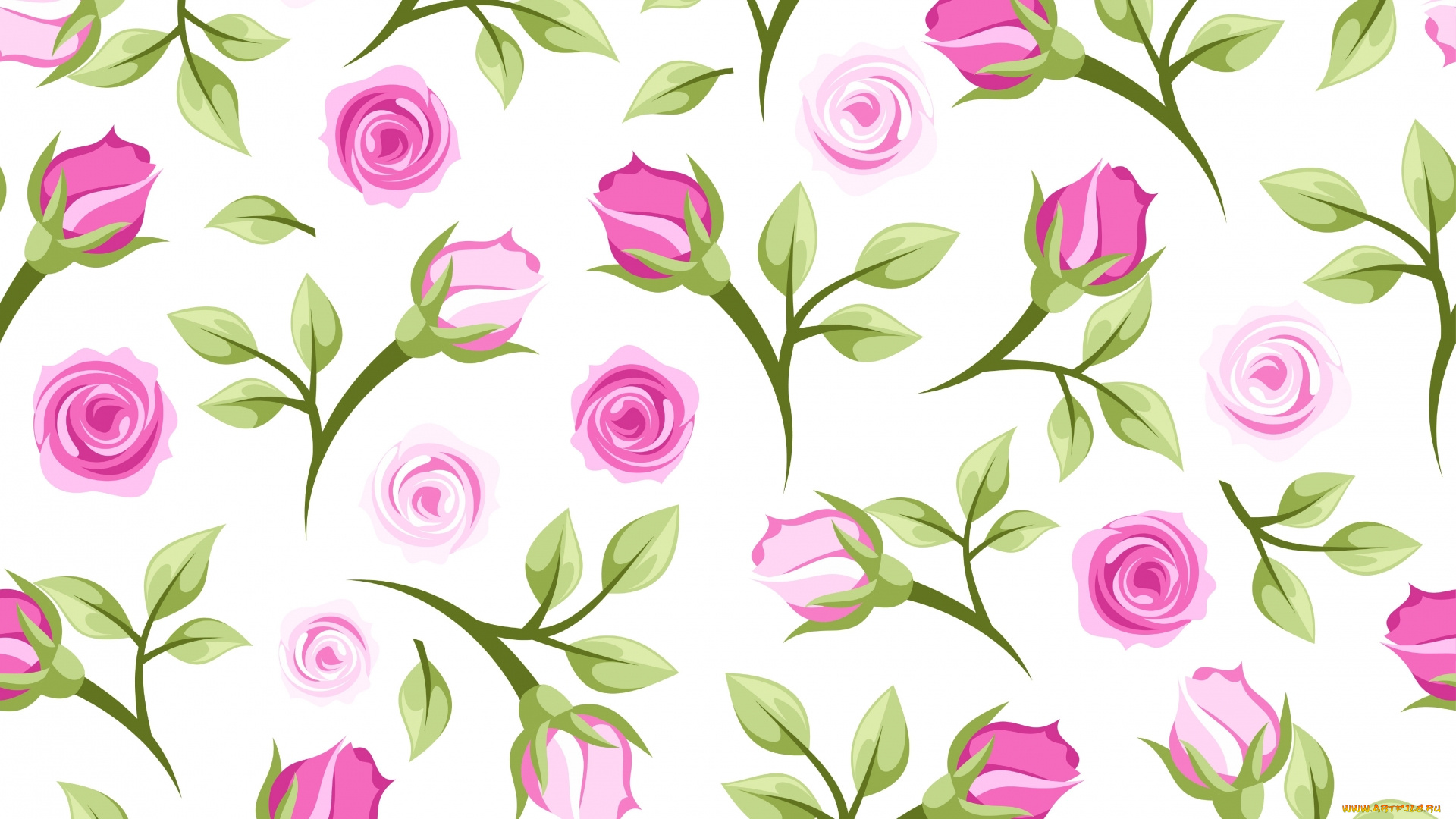 векторная, графика, цветы, , flowers, цветы, фон