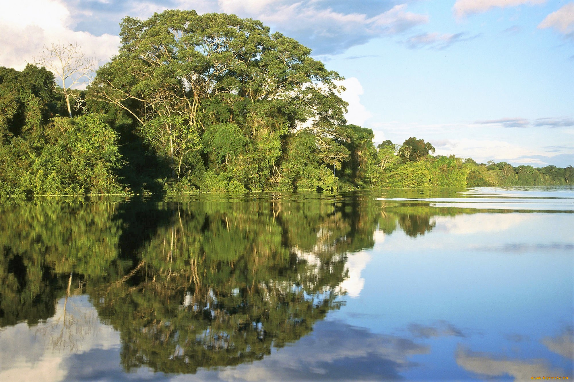 природа, реки, озера, озеро, деревья