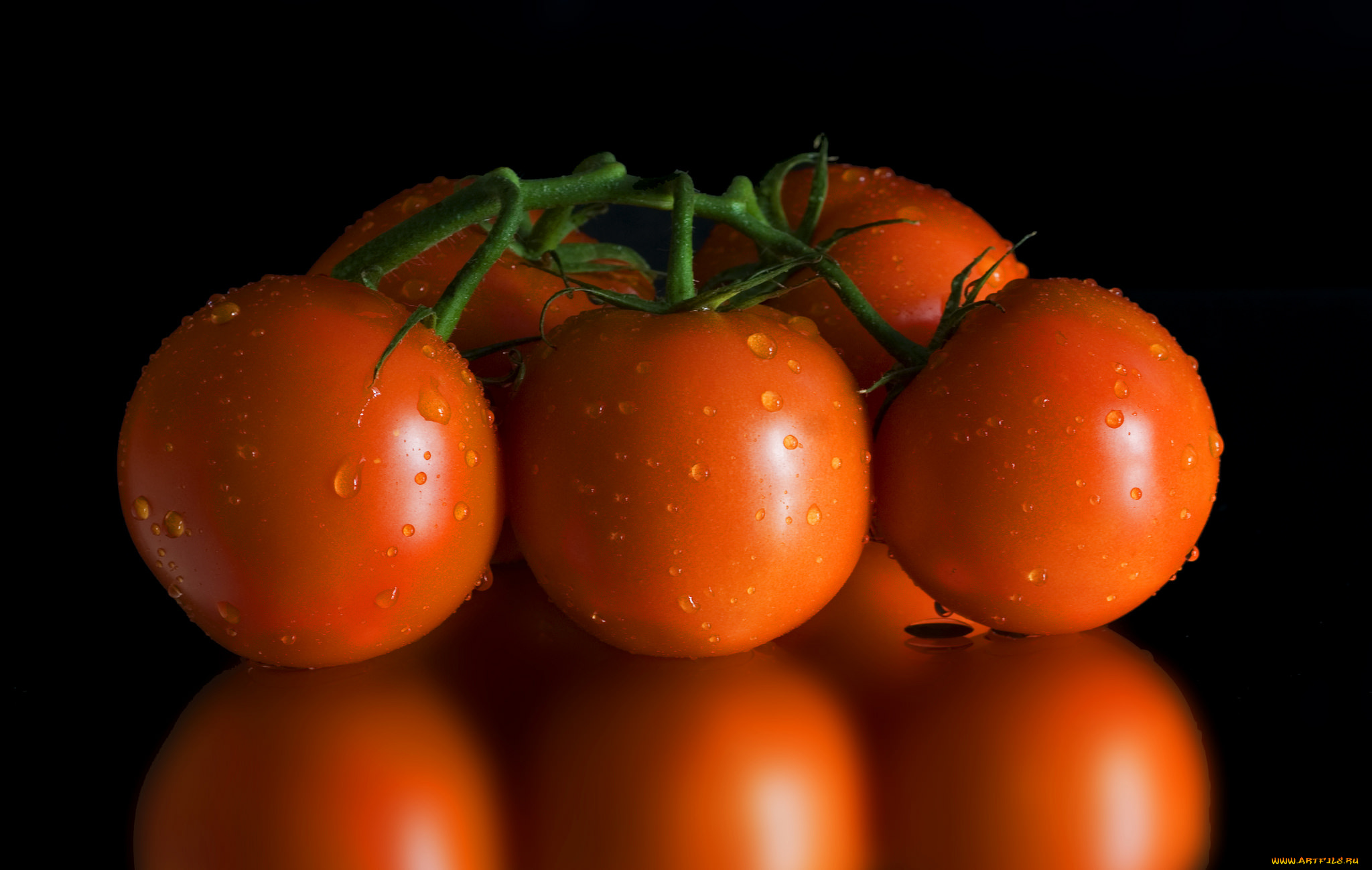 еда, помидоры, снедь