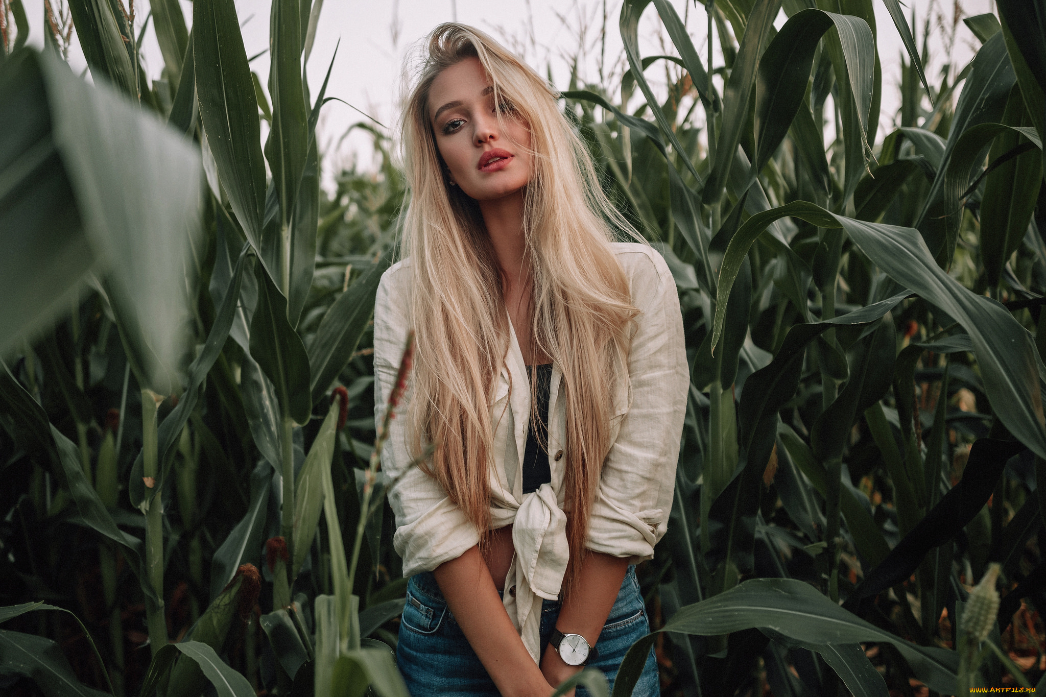 девушка, девушки, -unsort, , блондинки, , светловолосые, модель