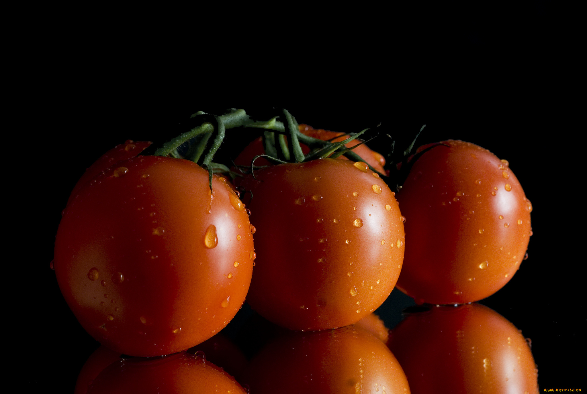 еда, помидоры, снедь