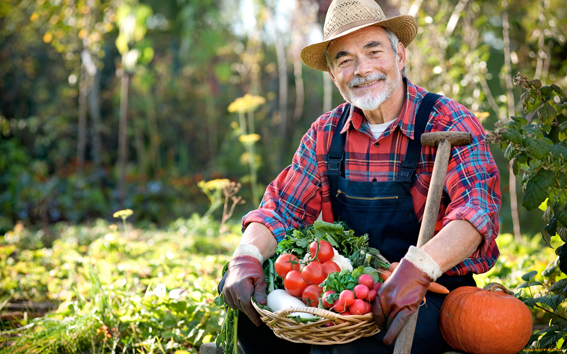 мужчины, -, unsort, пожилой, мужчина, шляпа, улыбка, седина, дачник