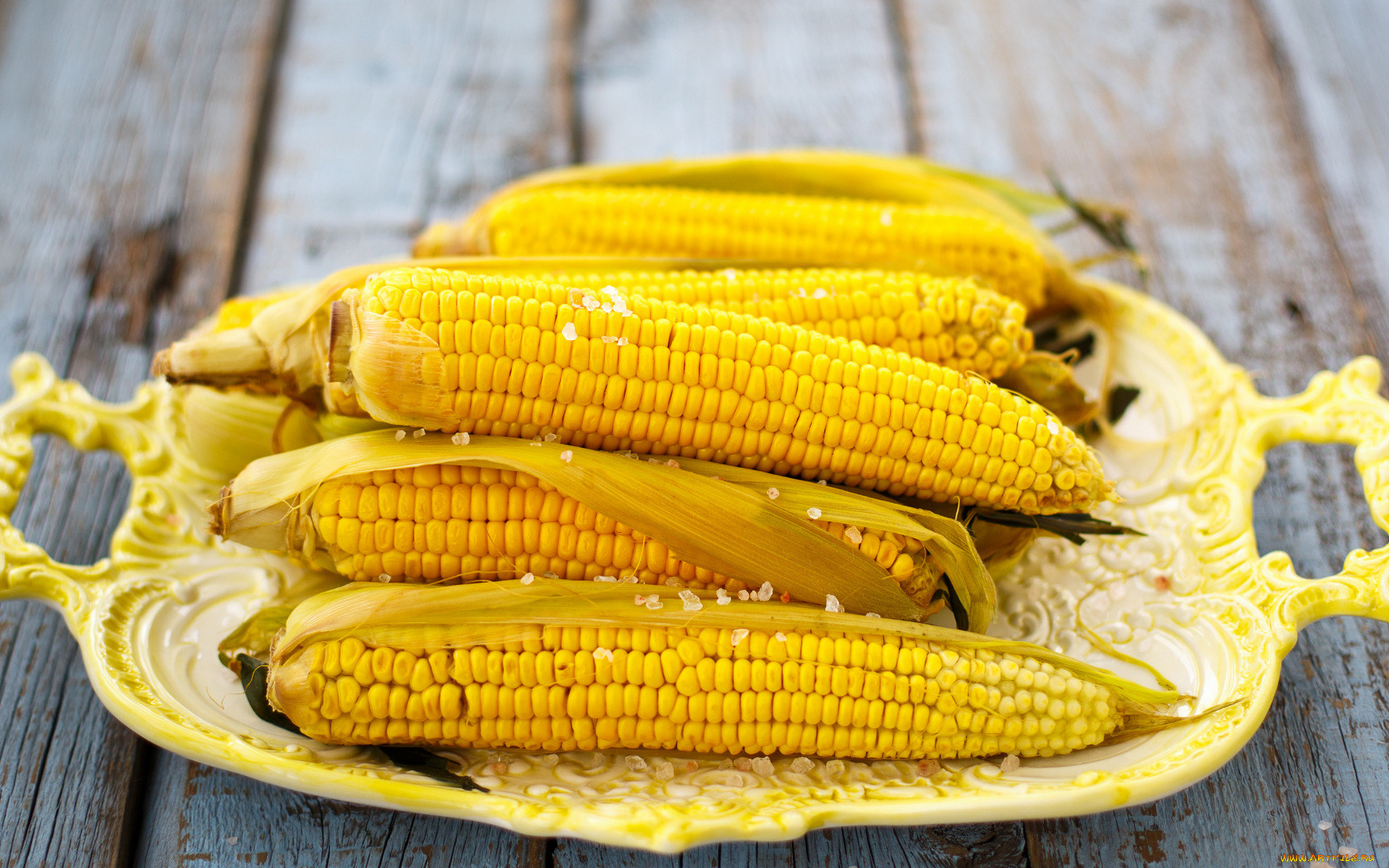 еда, кукуруза, початки
