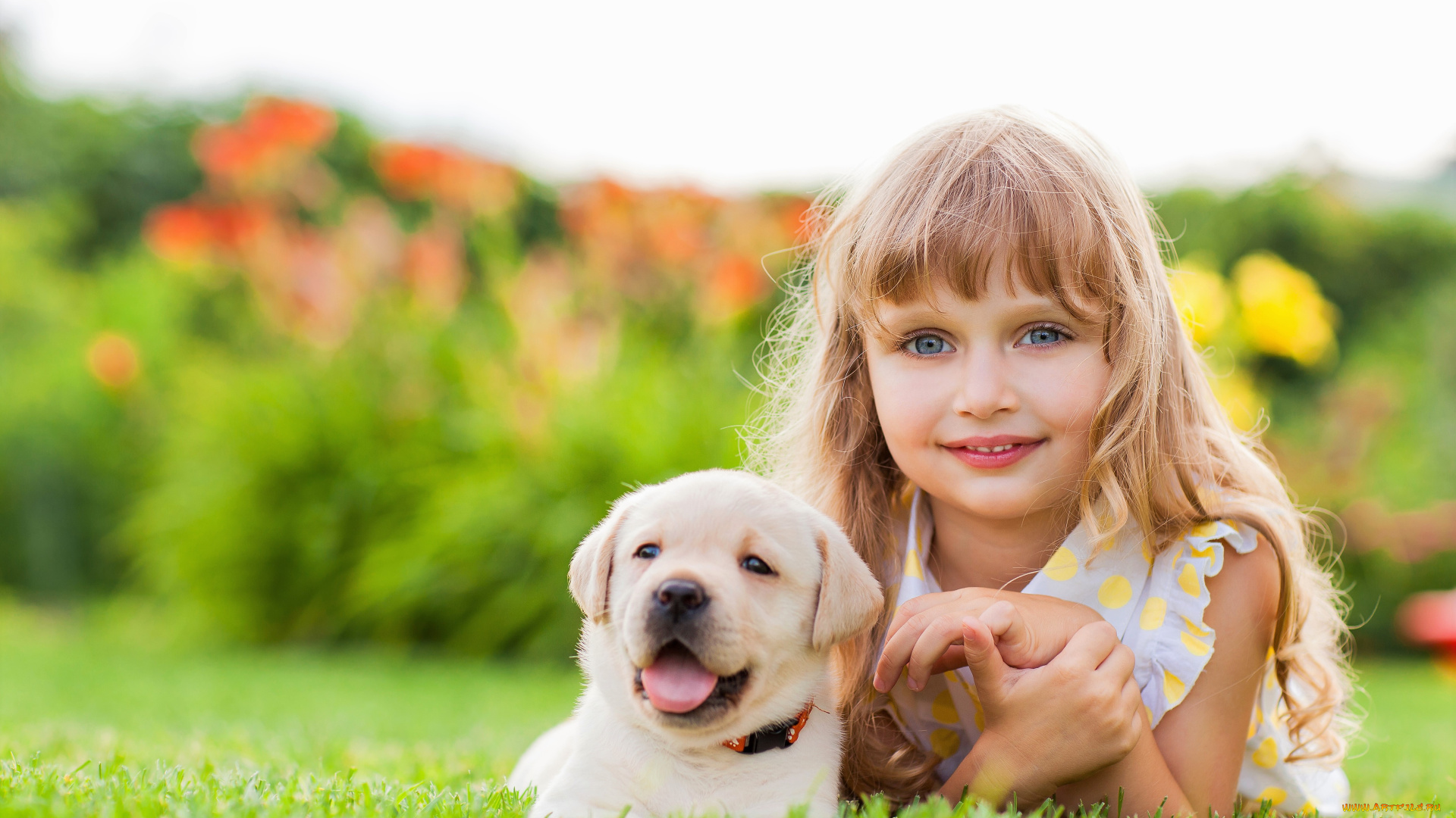 разное, дети, девочка, щенок, лужайка