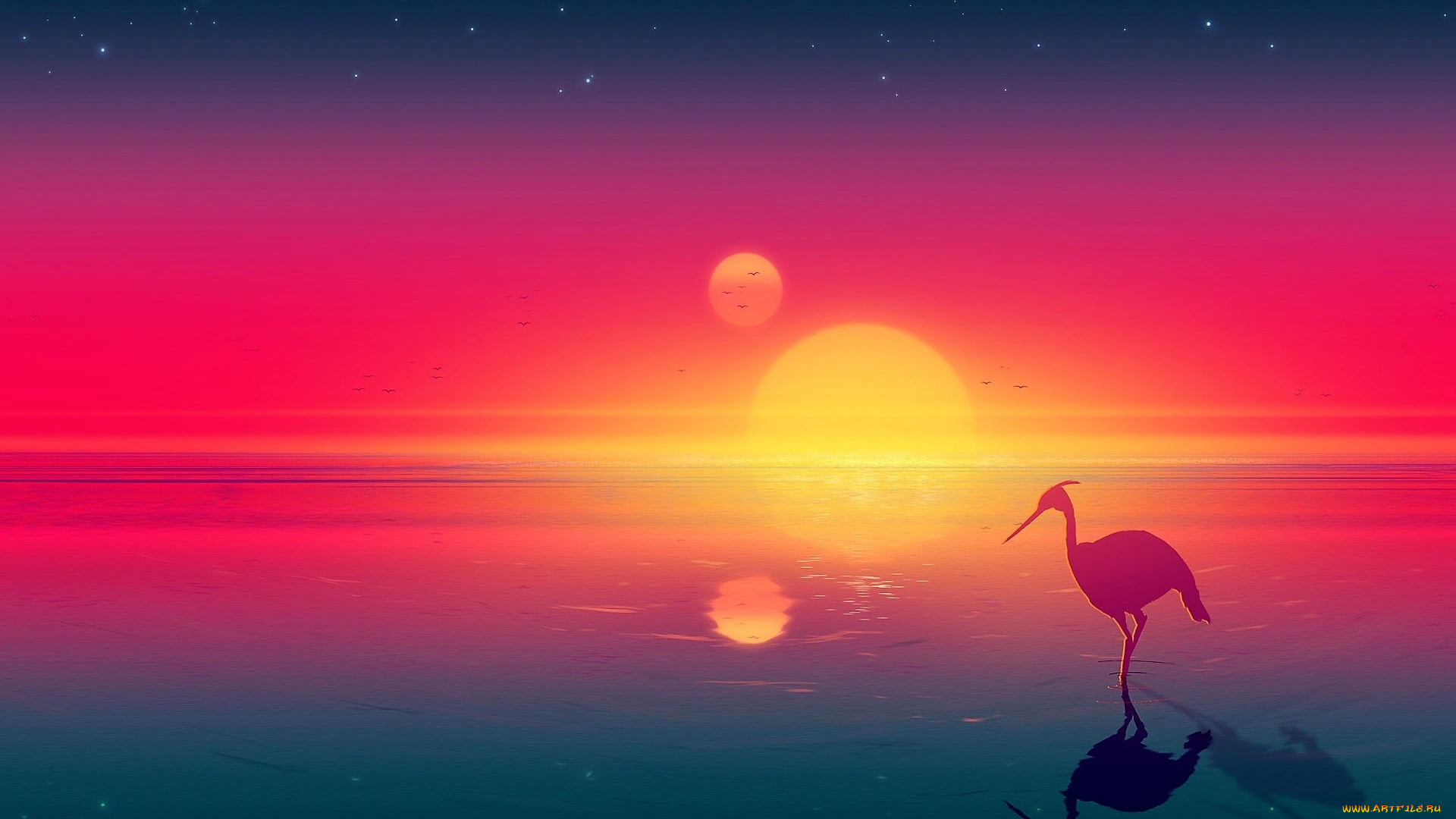 векторная, графика, птицы, , птицы, закат, озеро, цапля
