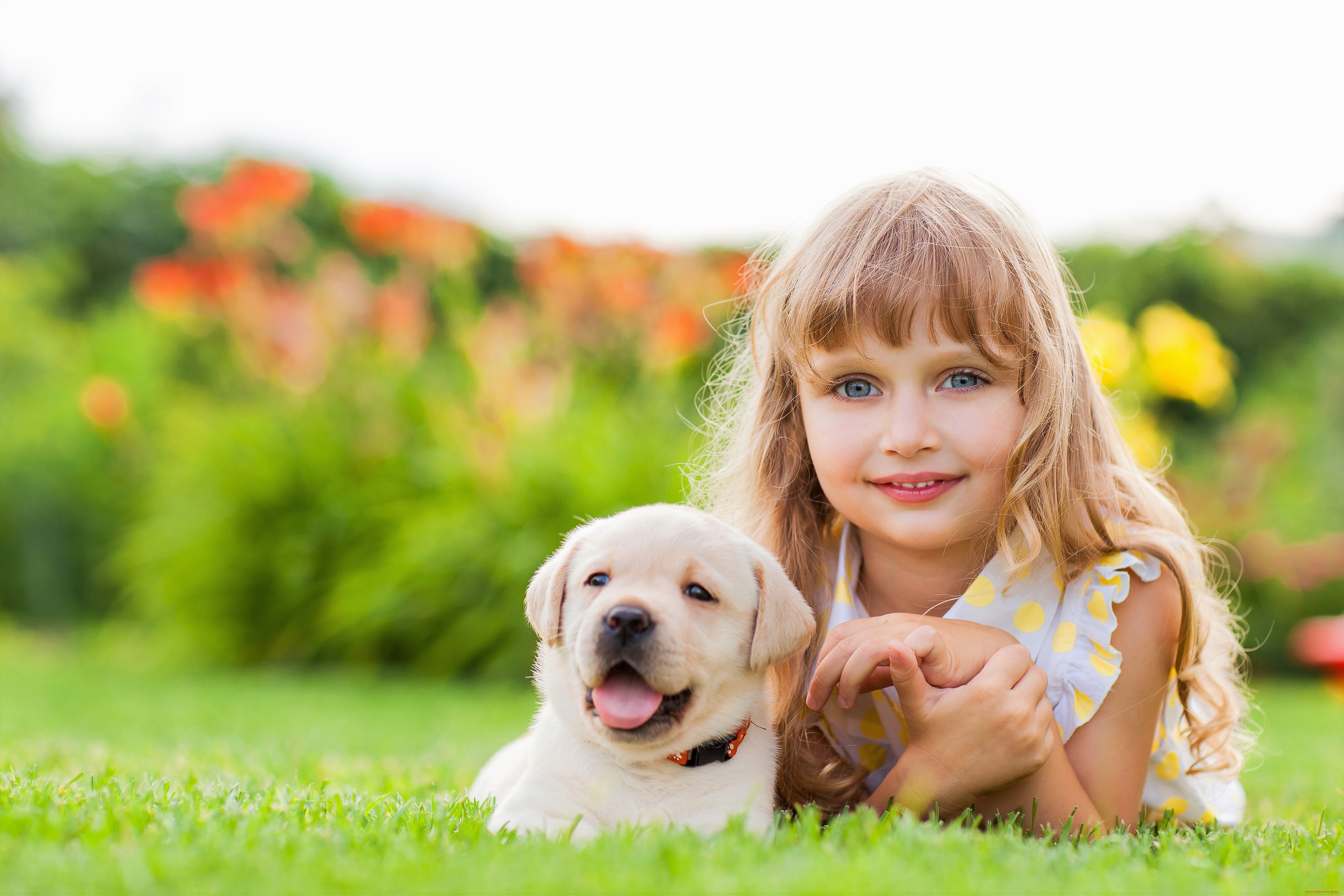 разное, дети, девочка, щенок, лужайка