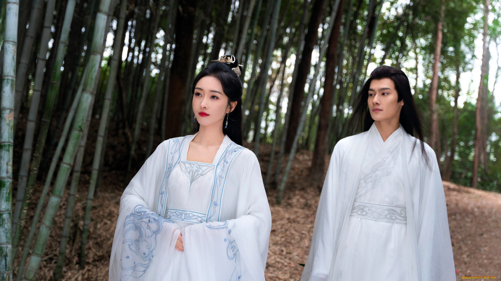 кино, фильмы, divine, destiny, пара, лес, бамбук