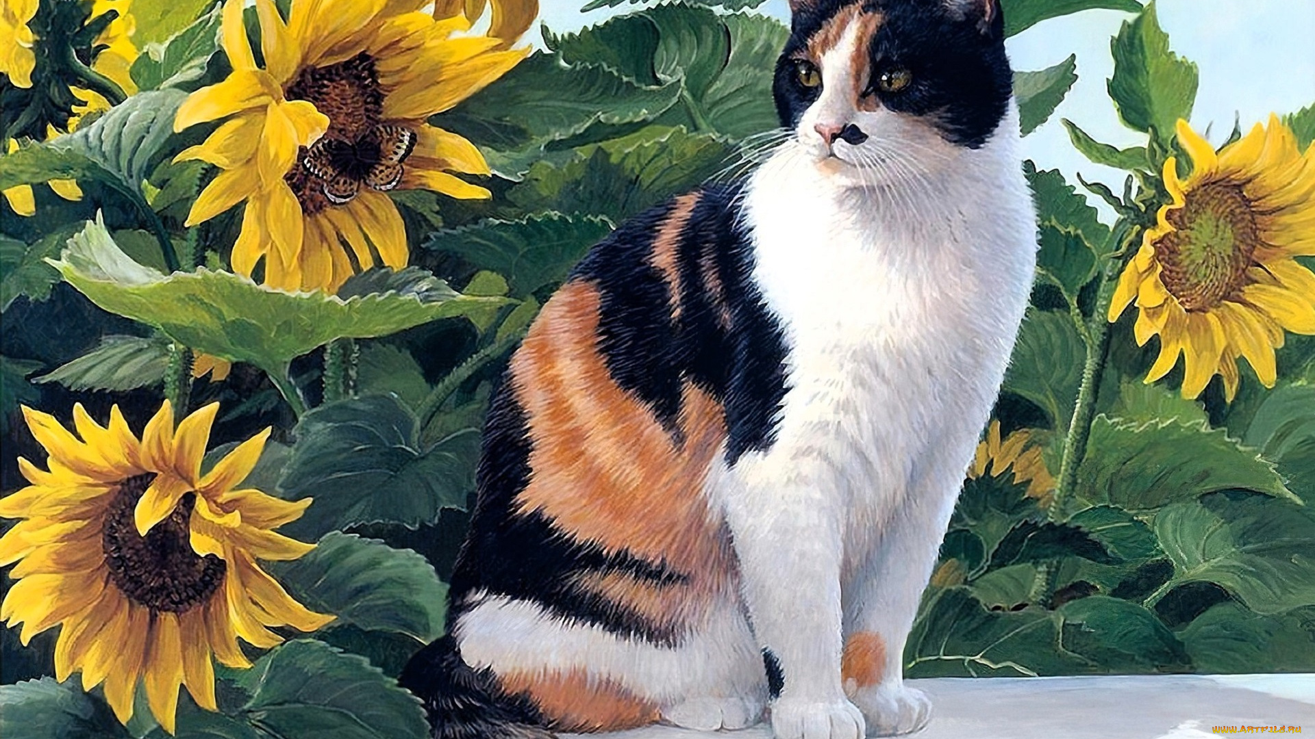 рисованное, животные, , коты, кошка, подсолнухи, бабочка