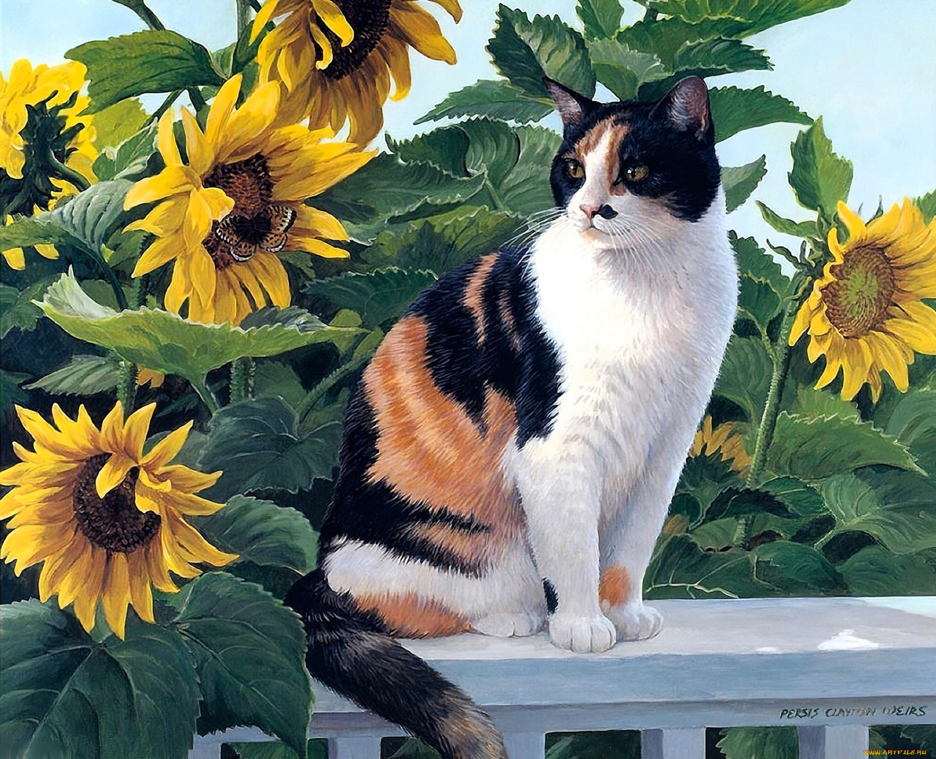 рисованное, животные, , коты, кошка, подсолнухи, бабочка