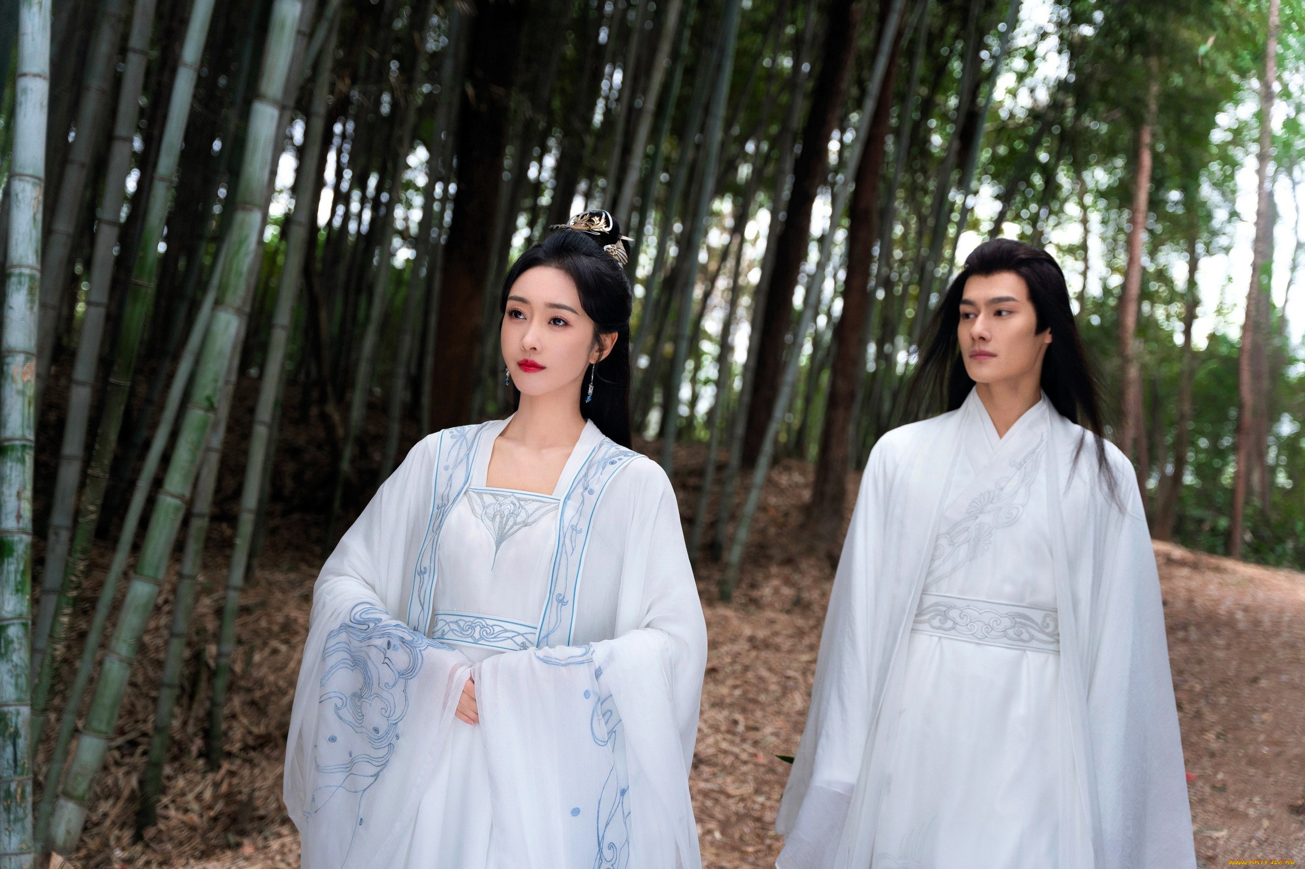 кино, фильмы, divine, destiny, пара, лес, бамбук