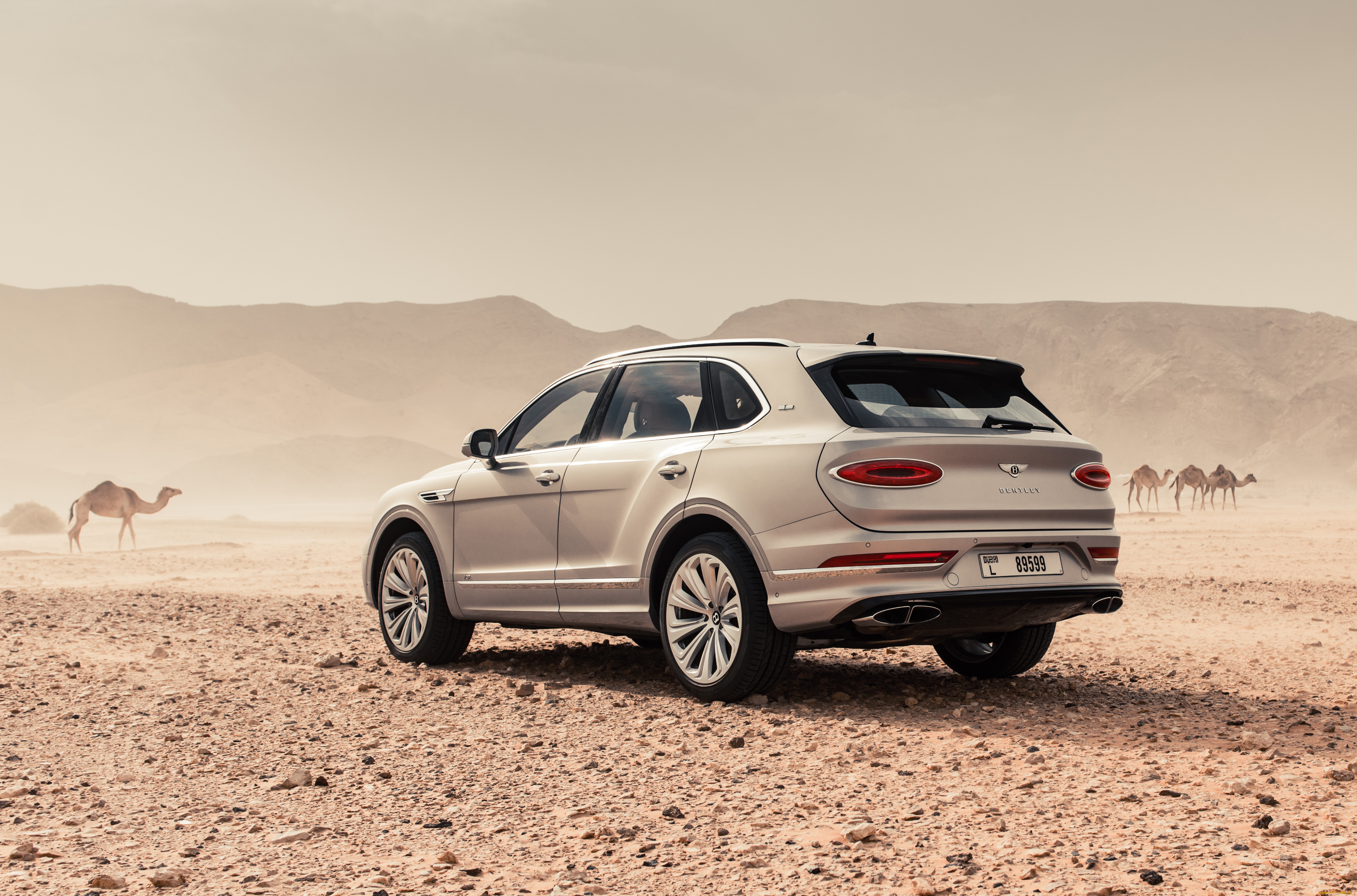 автомобили, bentley