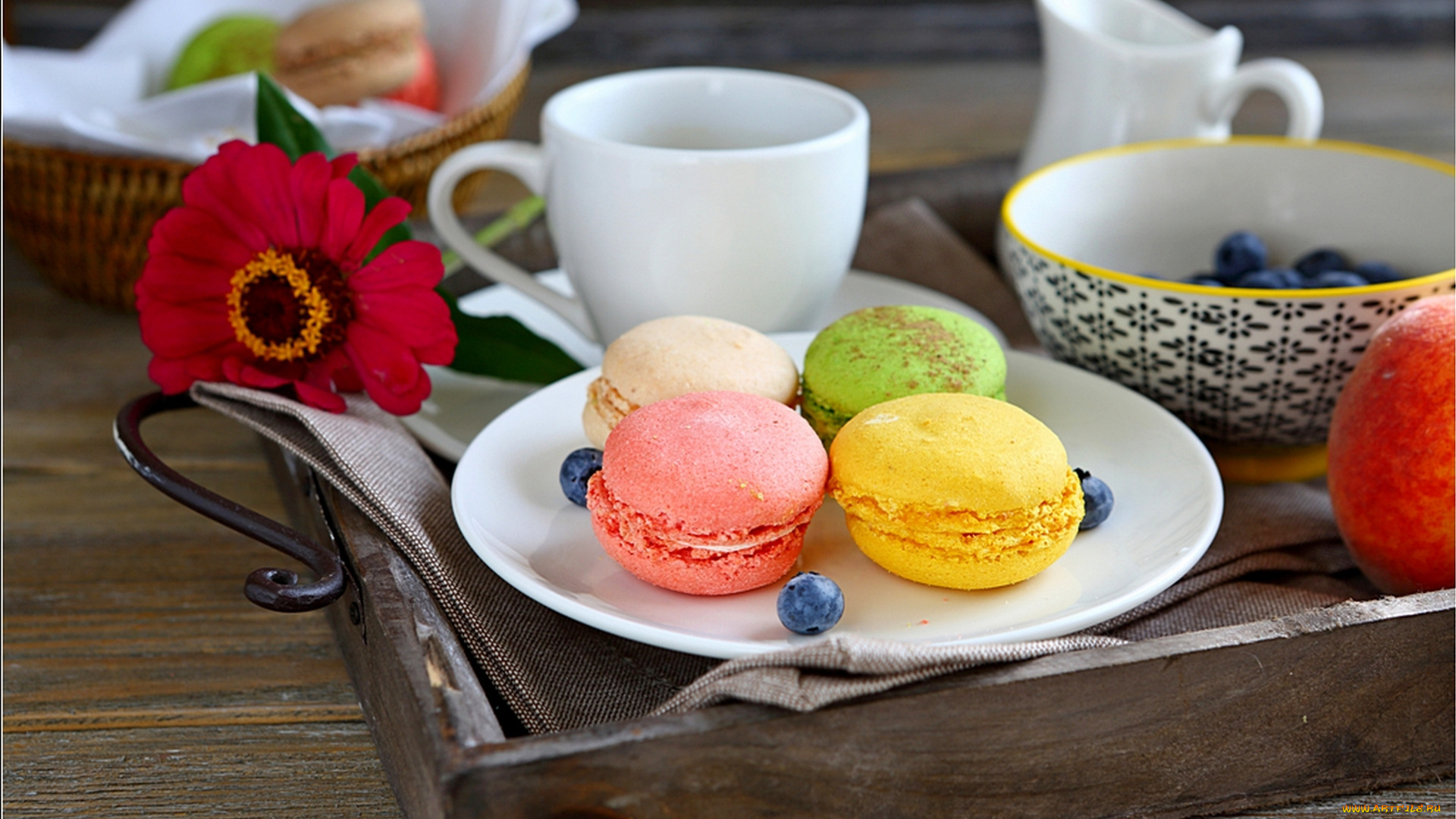 еда, макаруны, лакомство, ассорти