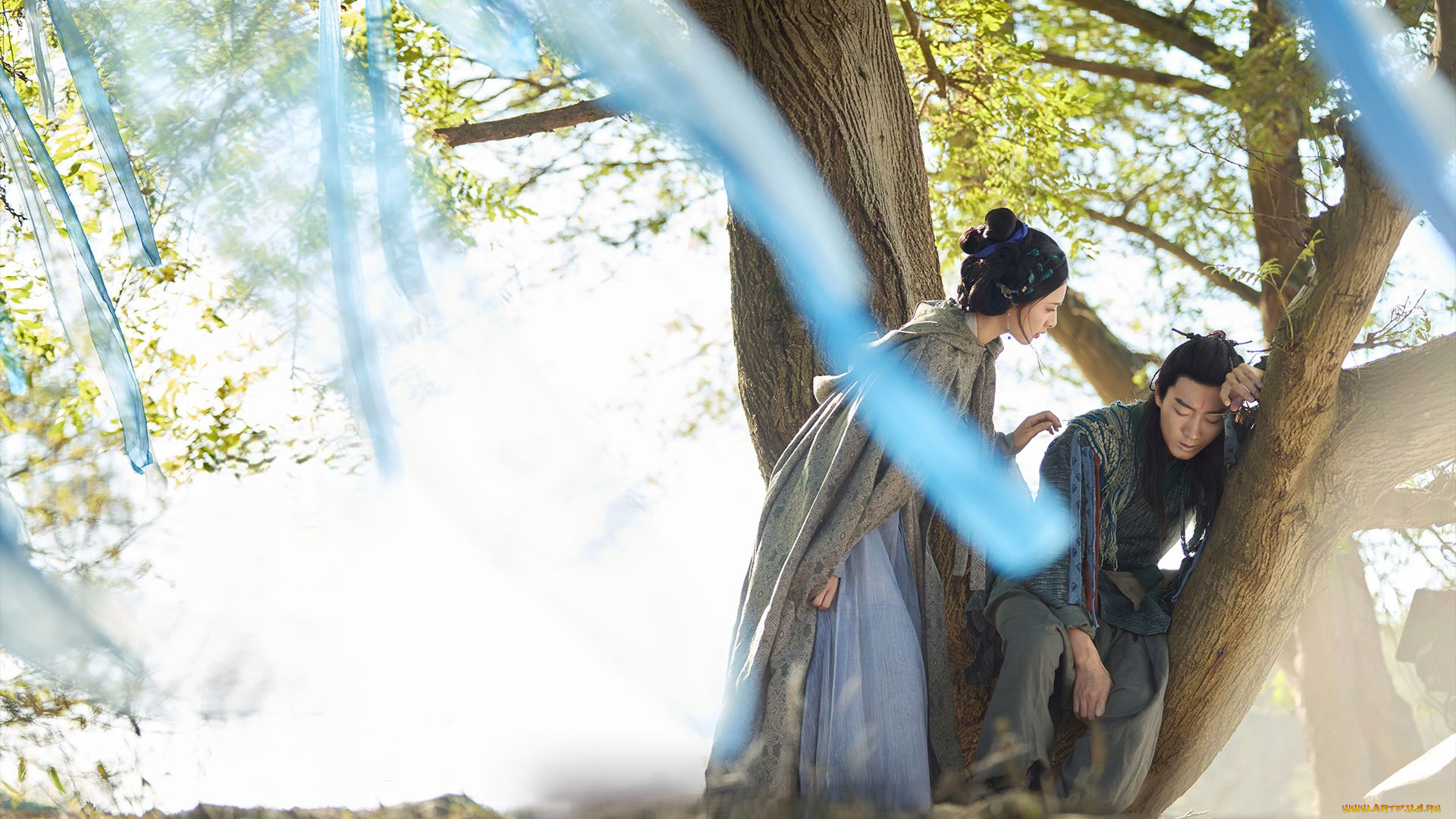 кино, фильмы, love, of, petals, love, of, petals