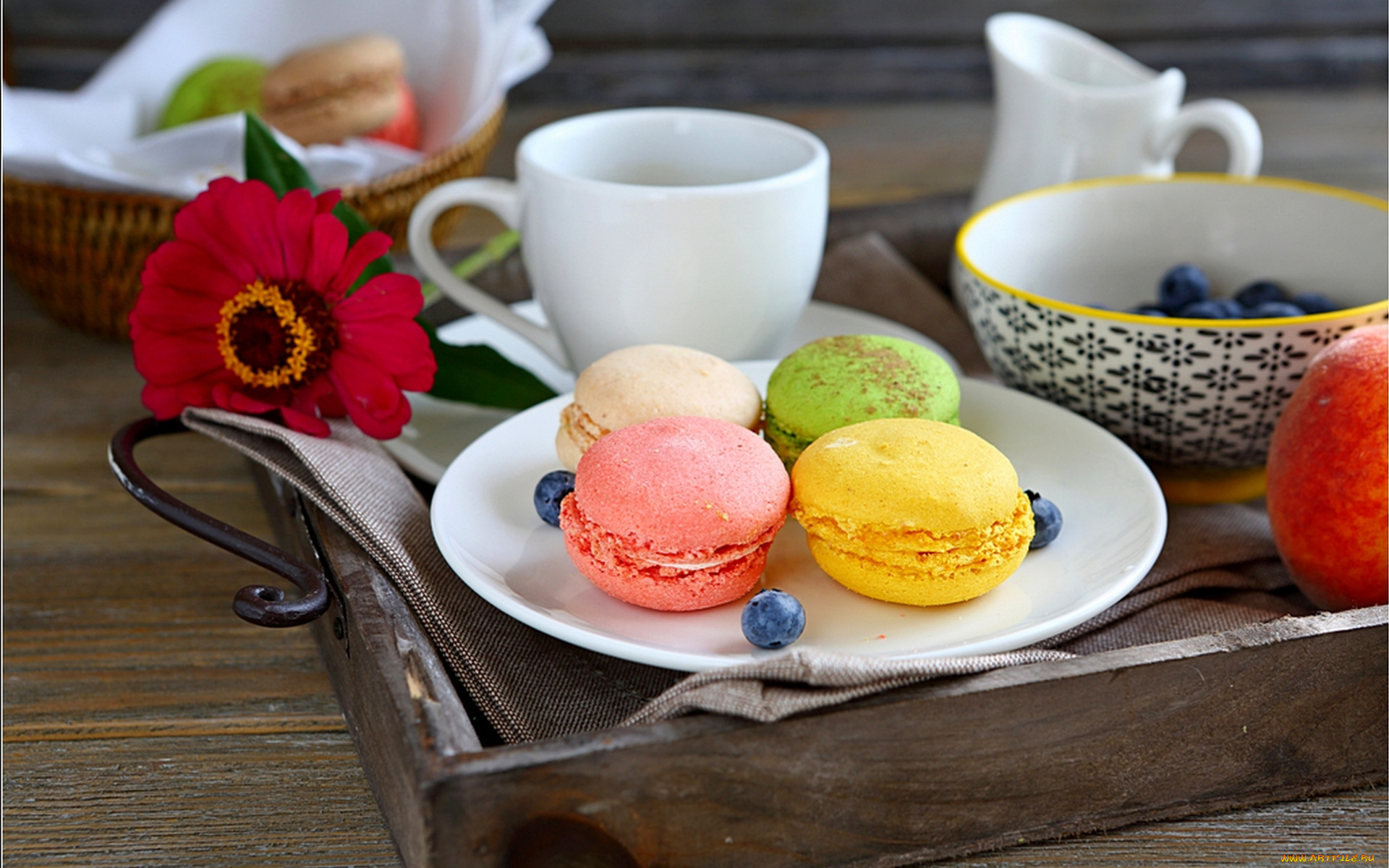 еда, макаруны, лакомство, ассорти