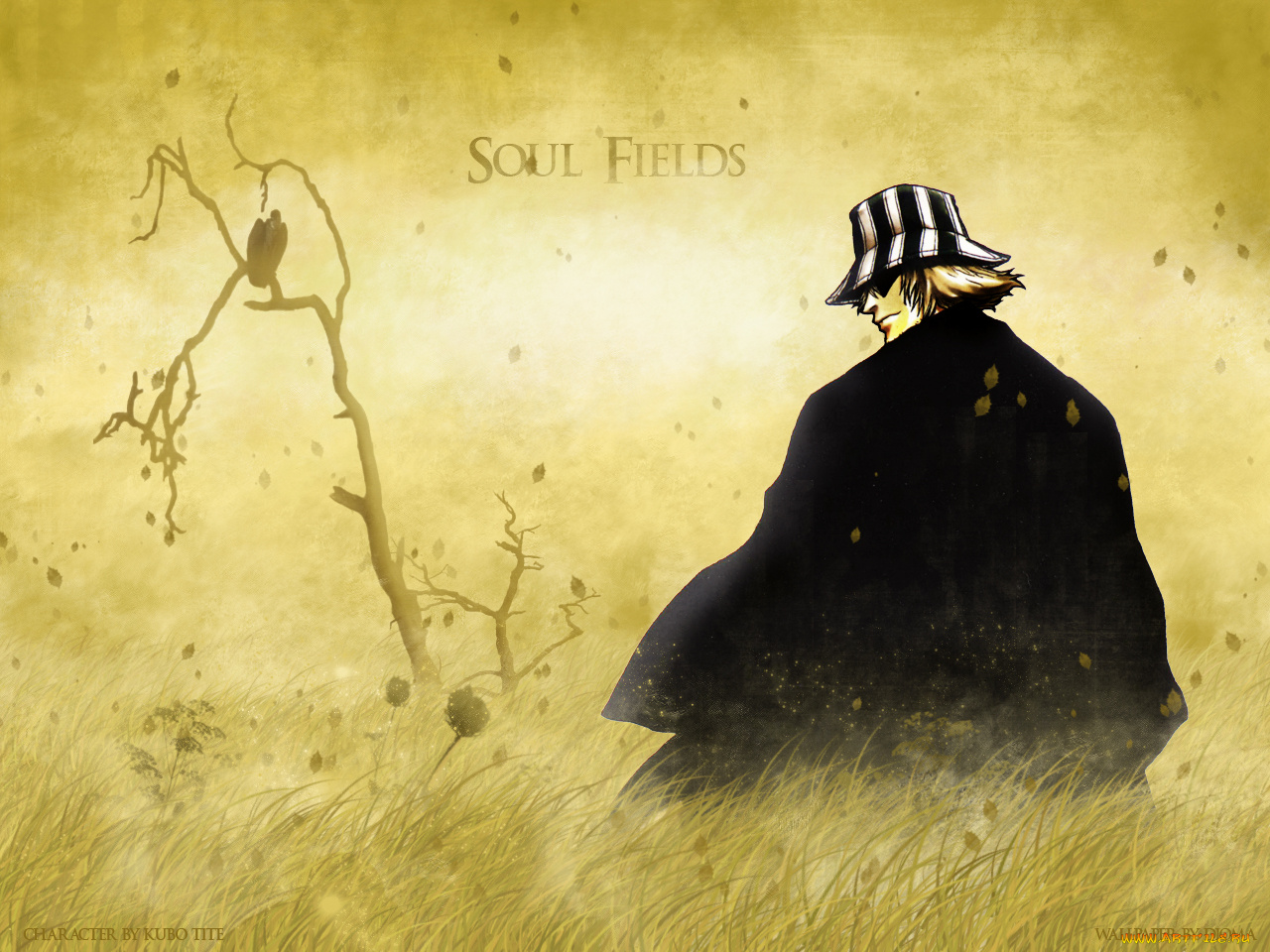 soul, fields, аниме, bleach, kisuke, urahara
